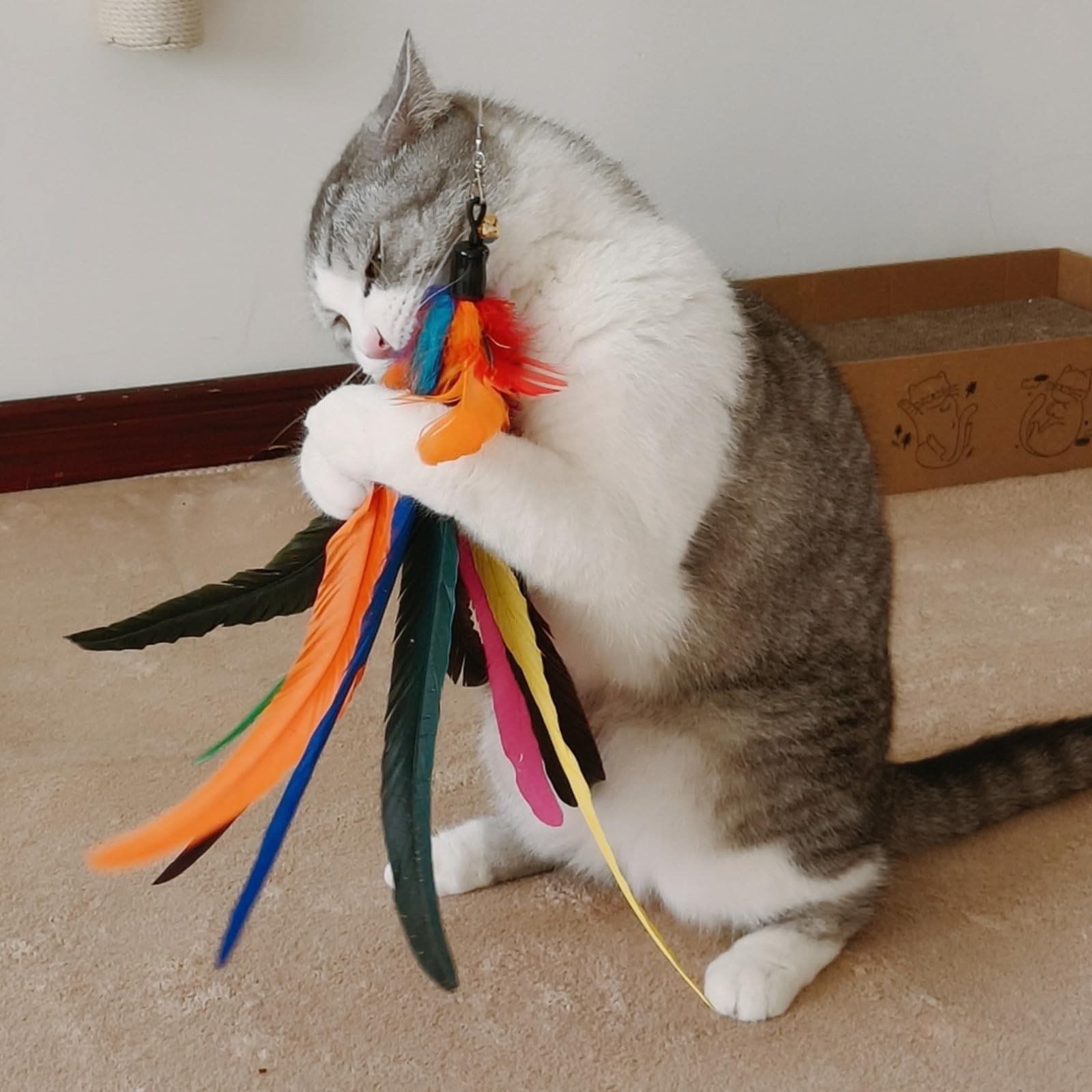 Miwoowim Da Bird Feather Refill - 2 Extra-Large Natural Replacement Attachments(13.8Inch) And 4 Feather Toys Refills(5.8Inch) Fo