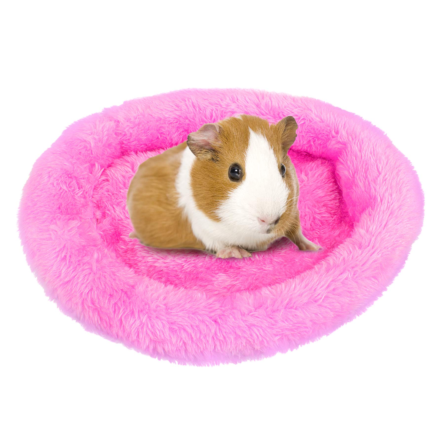 FEBSNOW Guinea Pig & Hamster Beds - Hedgehog, Squirrel & Tortoise/Lizard Beds