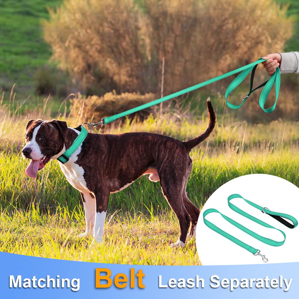 Taglory Reflective Adjustable Dog Collars For Puppy Small Medium Large Dogs, Thin Nylon Webbing And Quick Release Plastic Buckle(Teal Green,X-Large)