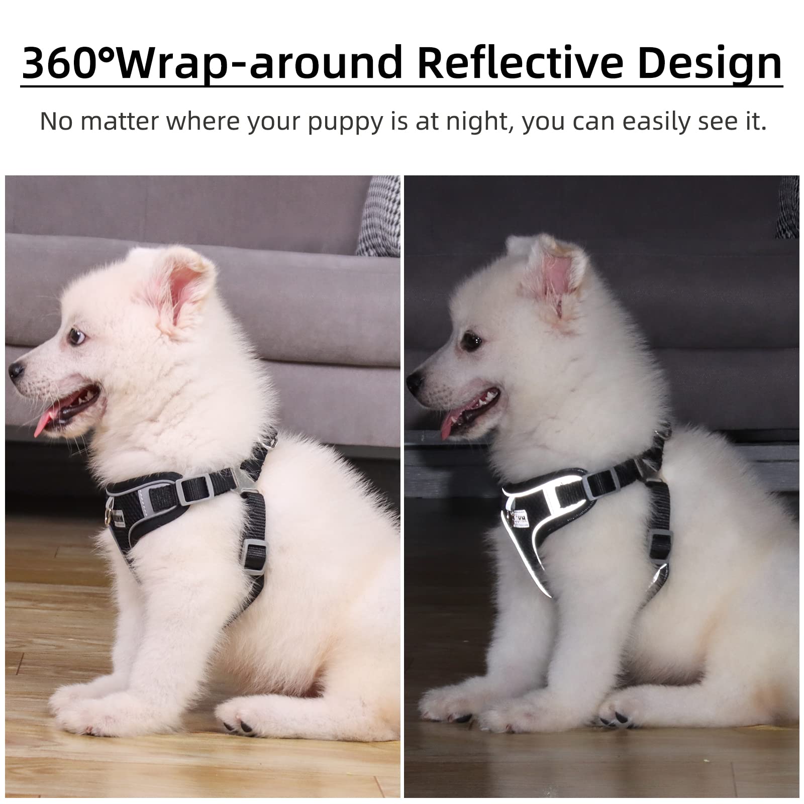 Rennaio Dog Harness No Pull, Adjustable Puppy Harness With 2 Leash Clips, Ultra Breathable Padded Dog Vest Harness, Reflective Dog Harness And Leash Set For Small And Medium Dogs (Black, M)