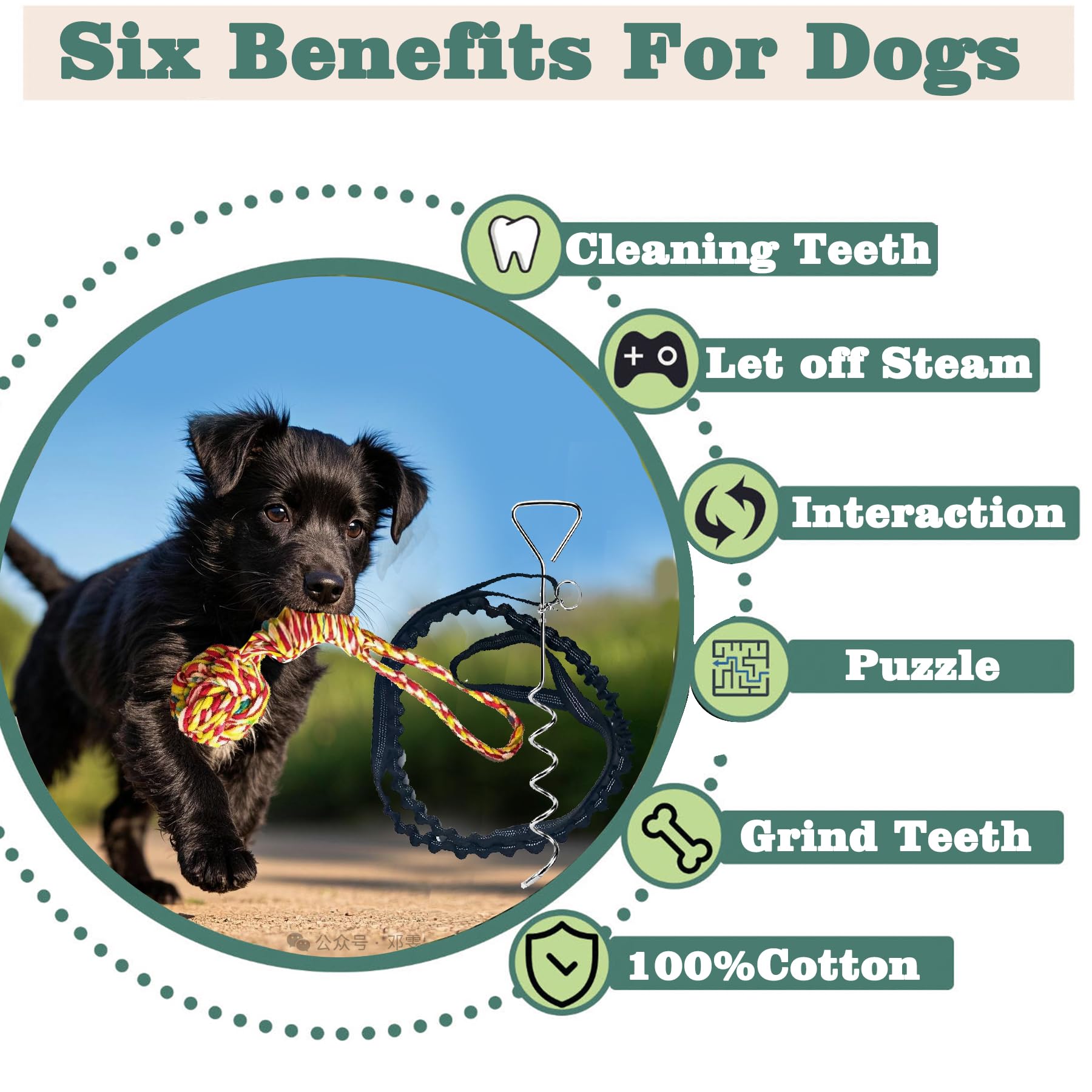 Sailstart Dog Bungee Tug Toy For Large/Medium/Small Dogs, Dog Tug Of War Toy With Stake,Outdoor Interactive Toys Can Be Used On