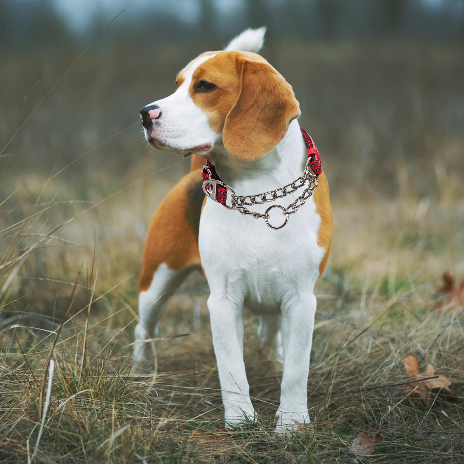 Martingale Dog Collar For Training,Adjustable No Pull Reflective Collar With Chain Collars For X-Large Dogs Secure/Comfortable W