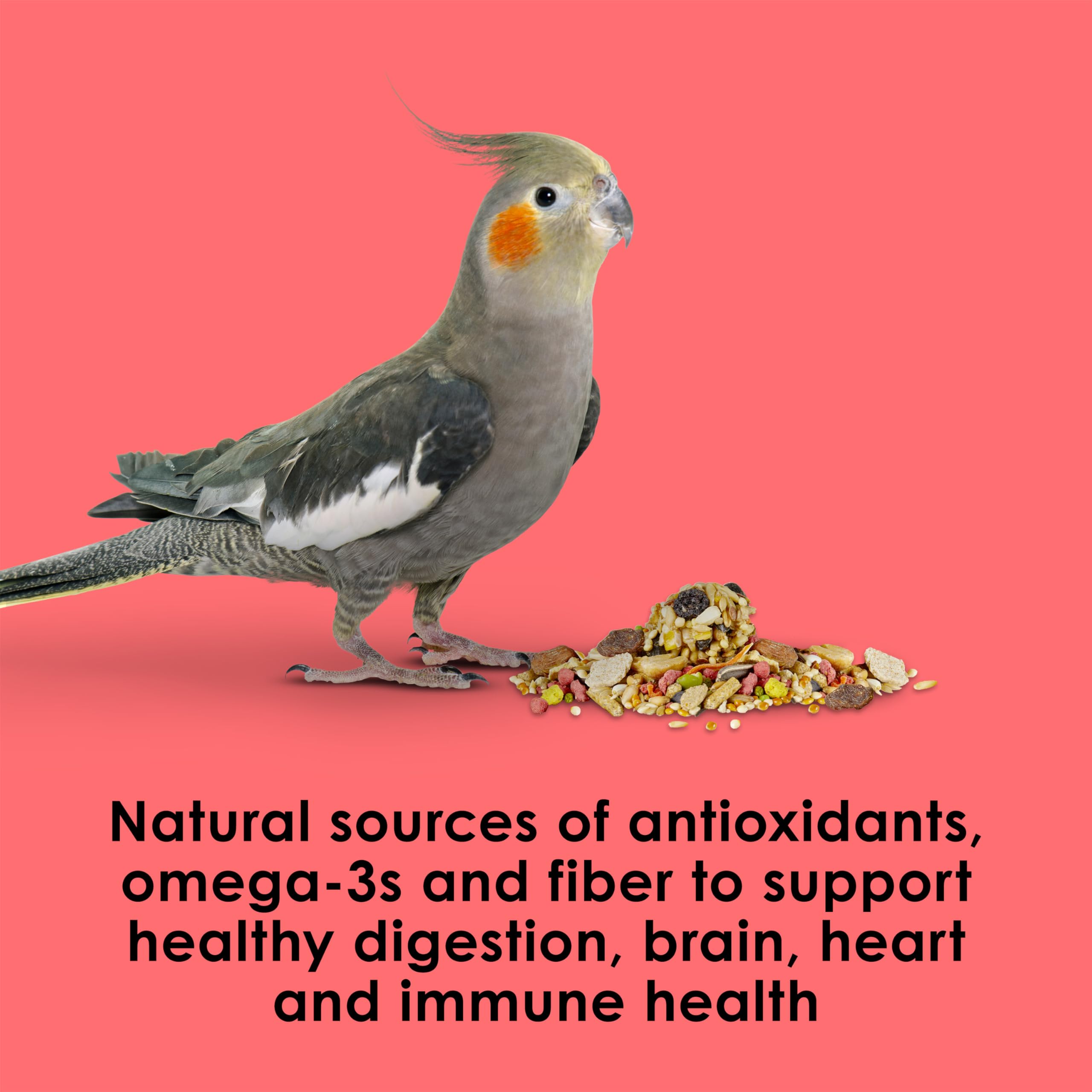Kaytee Fiesta Cockatiel Food, Nutritious and Fun Blend, Supports Skin, Feather, Digestion, Brain and Heart Health, 4.5 pounds