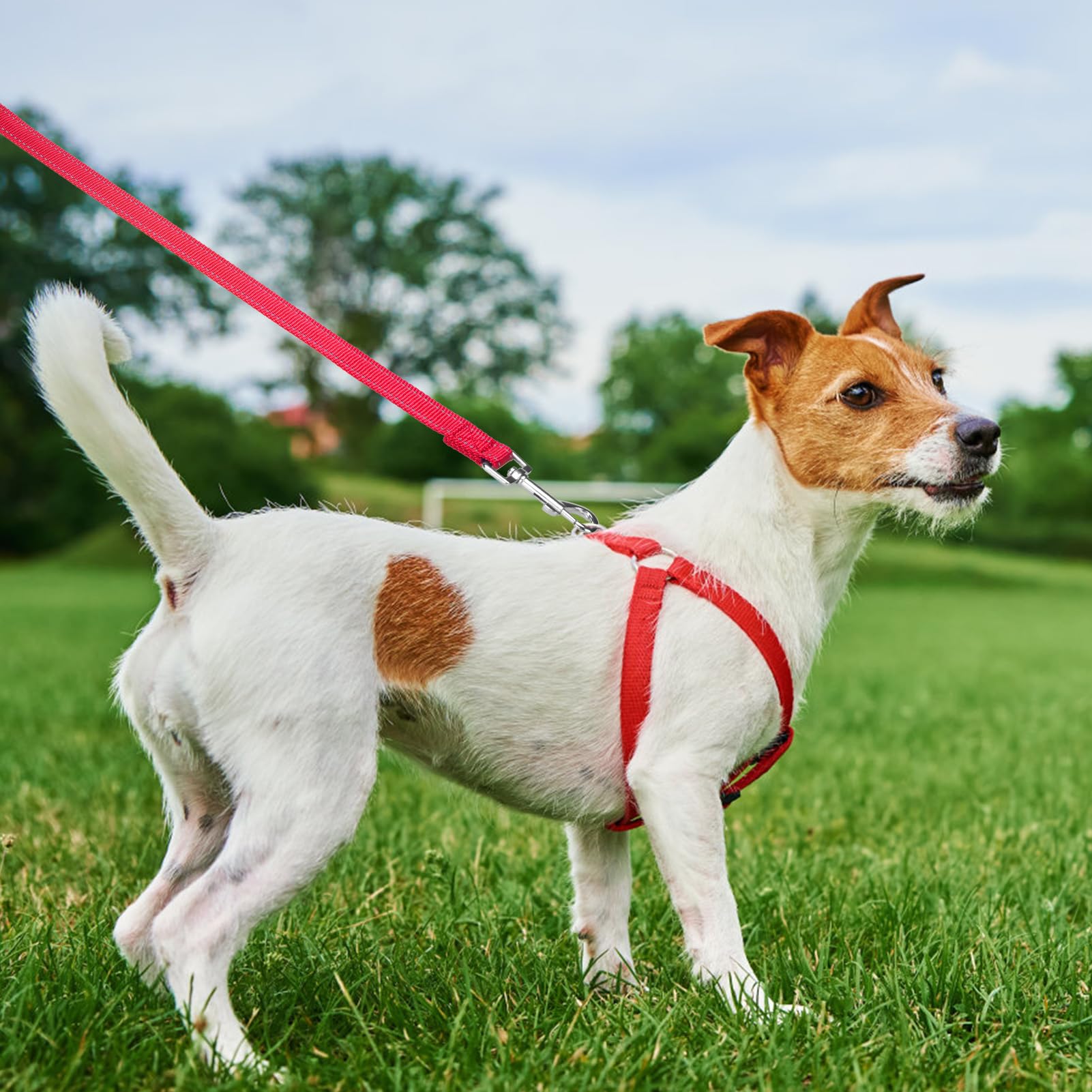 Pupteck Reflective Short Dog Leash - 3 Packs 2.5Ft/ 1.5Ft/ 1Ft Nylon Dog Leash With Strong Clip, And Soft Padded Handle, Durable Training Leash For Small Medium Large Dogs Cats Walking Outside Red