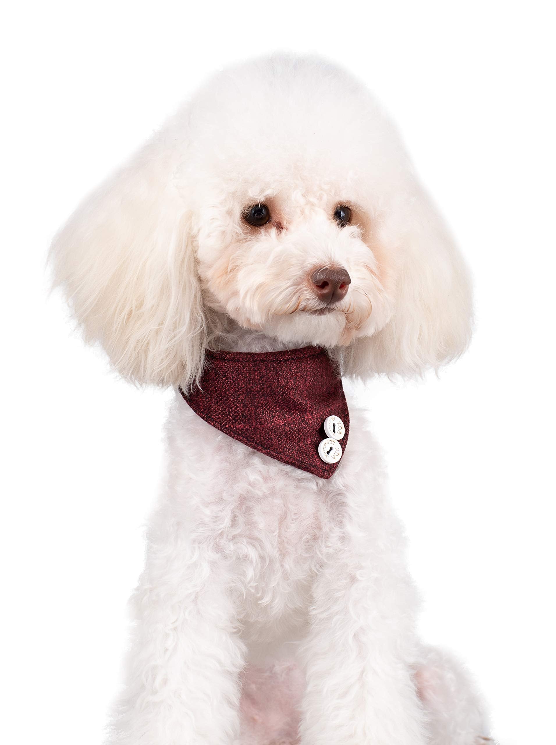 Gyapet Small Dog Collar Puppy Cat Tiny Pet Bow Tie & Bandana 2Pcs Set Pu Leather Canvas Scarf Durable Red Classic