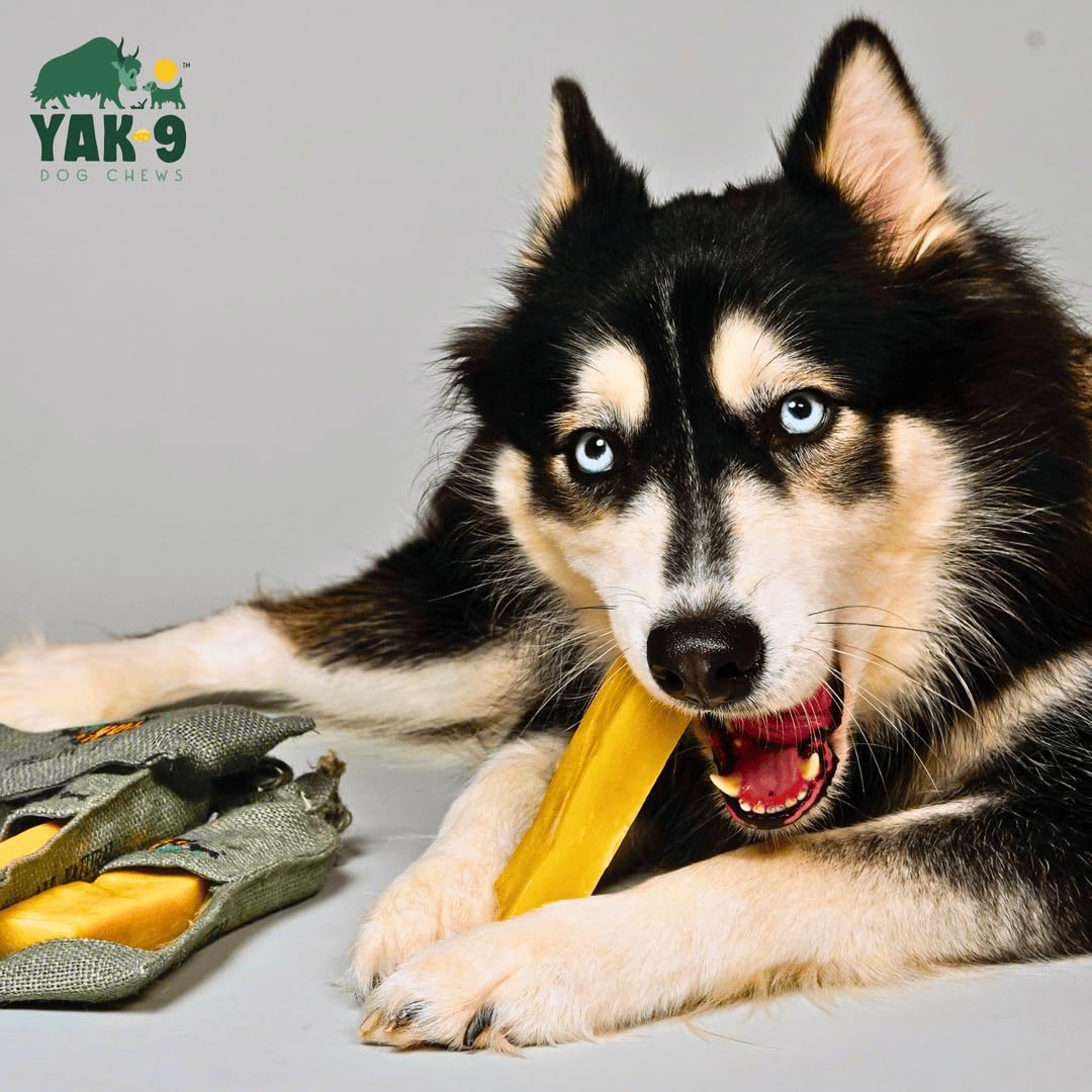 Yak9 Cheese Dog Chews, High Protein Treats, Natural, Rawhide Free, Long Lasting with Vitamins & Minerals, Medium Size, Yak & Cow