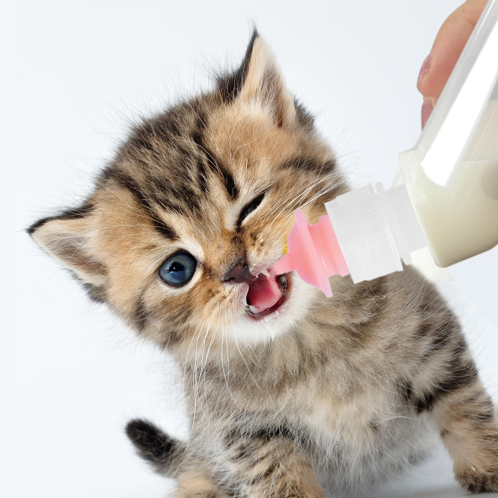 FEDIPUP Pack of 5 Reusable Pet Nursing Bottles with Short Silicone Nipples - Curved Feeding Bottles for Newborn Kittens, Puppies