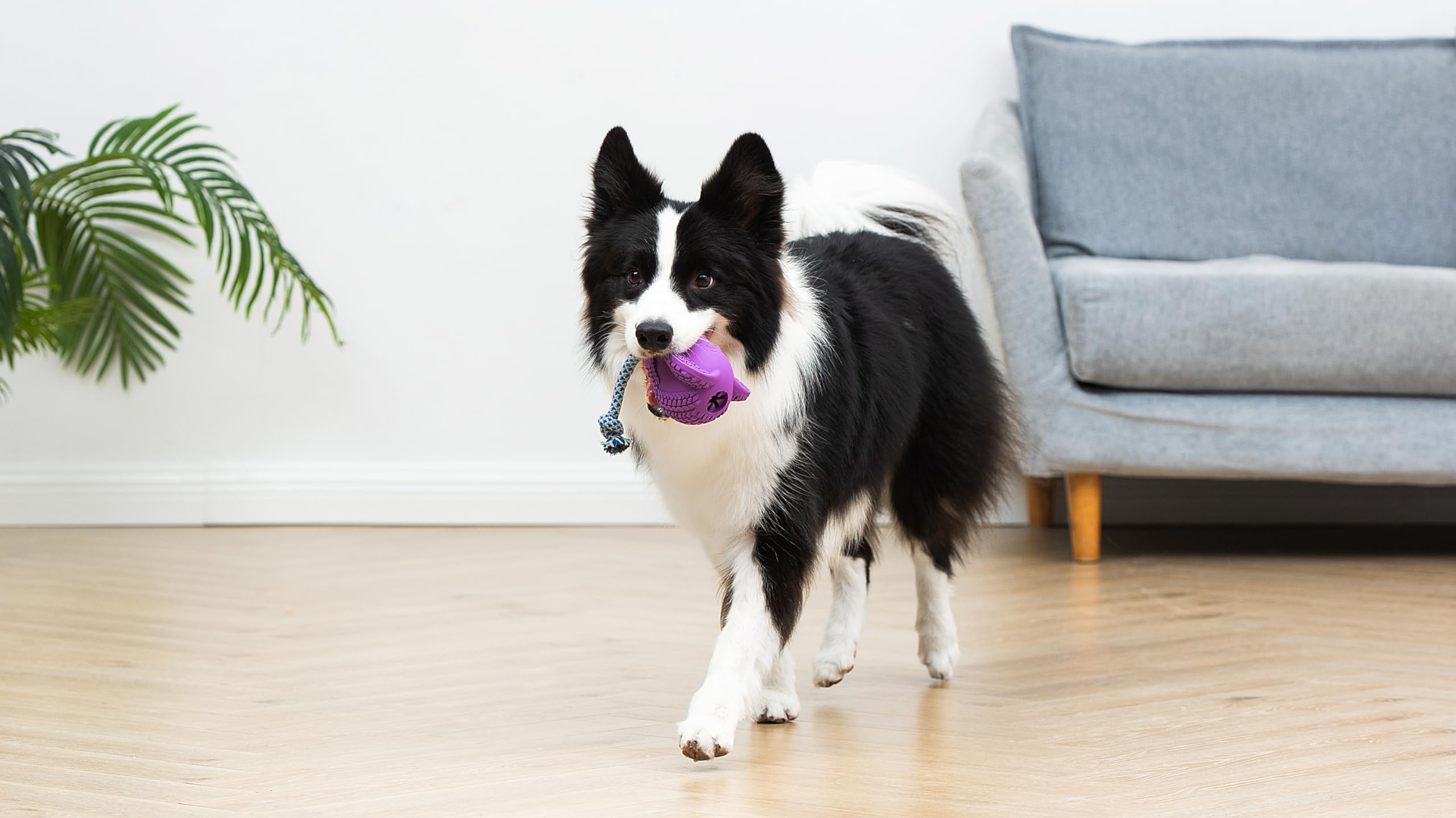 Arm & Hammer For Pets Super Treadz Large Elephant Dental Chew Toy For Dogs Dog Dental Toys For Aggressive Chewers Reduces Plaque & Tartar Without Brushing Safe For Dogs Up To 35 Lbs