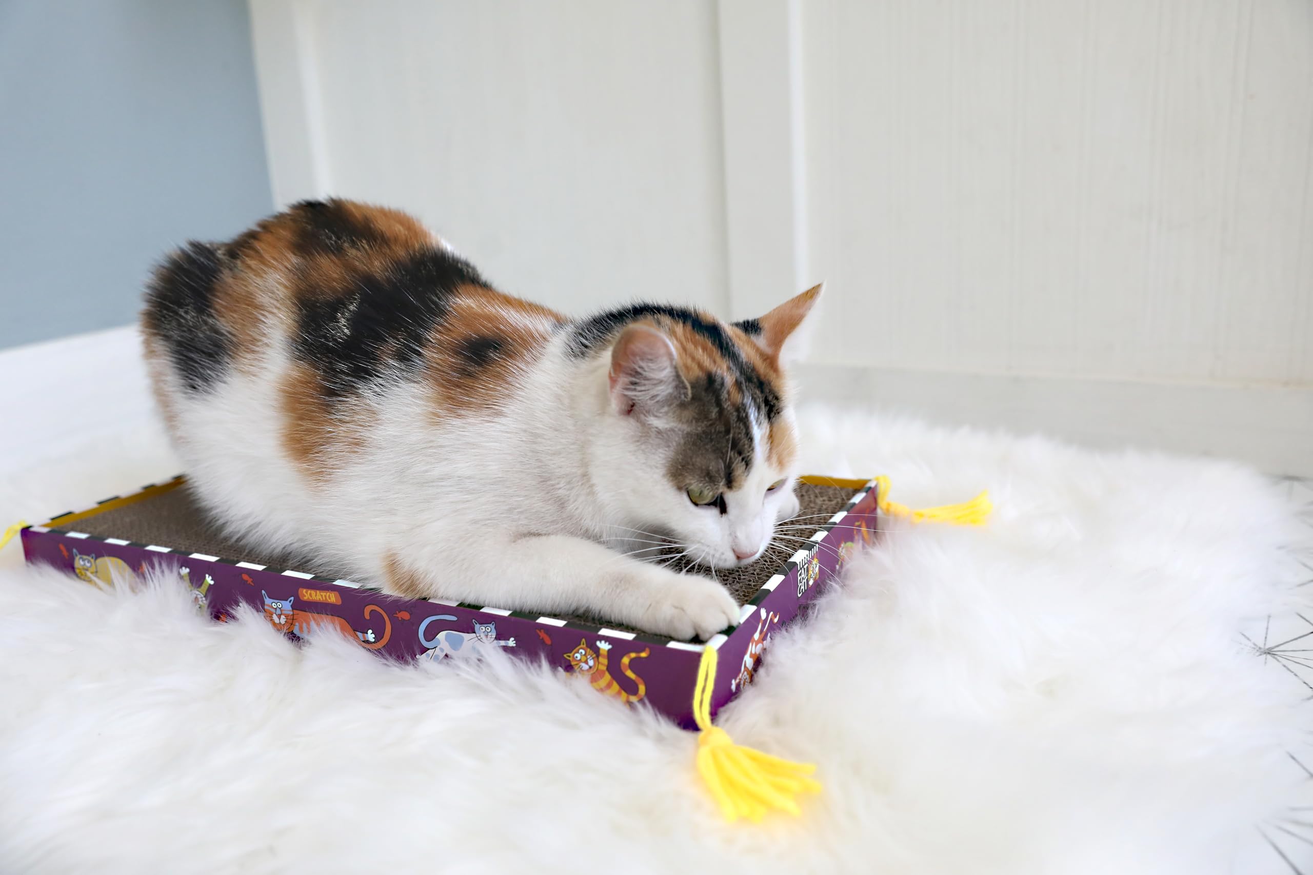 Fat Cat Big Mama'S Scratch Cat Toy Box Includes 100% Organic Catnip Grown In The Usa