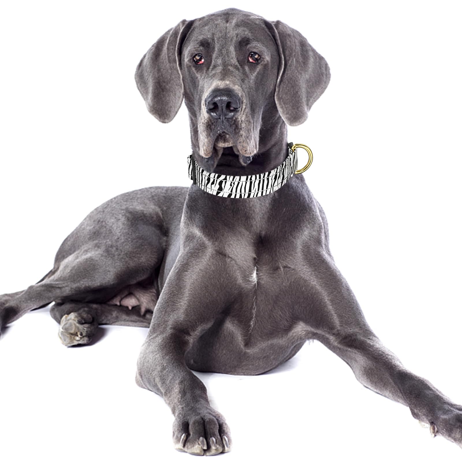 Tmoodel Reflective Dog Collar For Large Dogs, Cute Boho Adjustable Heavy-Duty Nylon Puppy Collar For Boy And Girl Female, Soft P