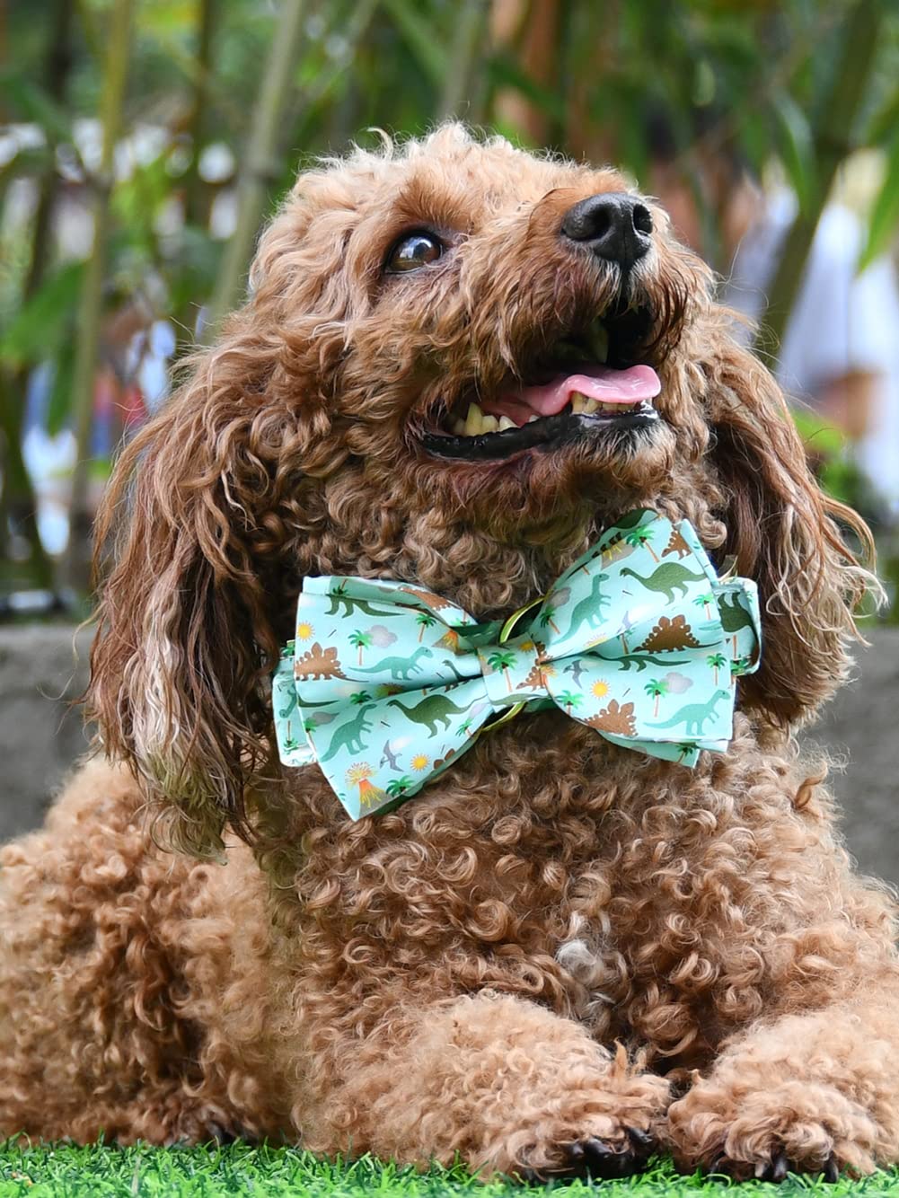 Dinosaur Dog Bow Tie Dog Collar,Detachable Bowtie, Adjustable Collar For Small Medium Large Dogs