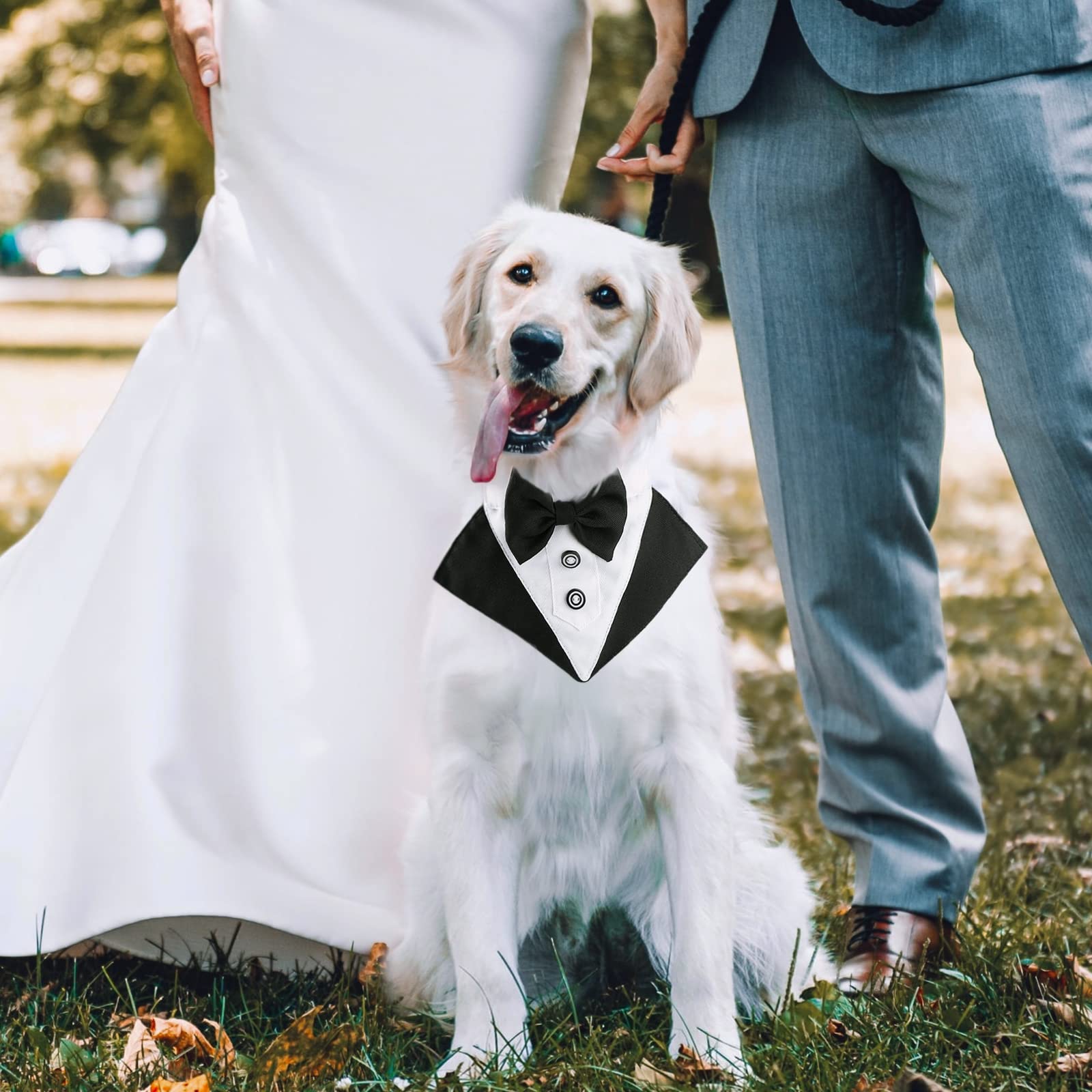 Segarty Formal Dog Tuxedo Bandana Dog Wedding Attire, Adjustable Collar With Bowtie, Pet Cats Tuxedo Bandana Necktie Collar For Medium Large Boy Dog Wedding Grooming Birthday Party Gift (L Black)