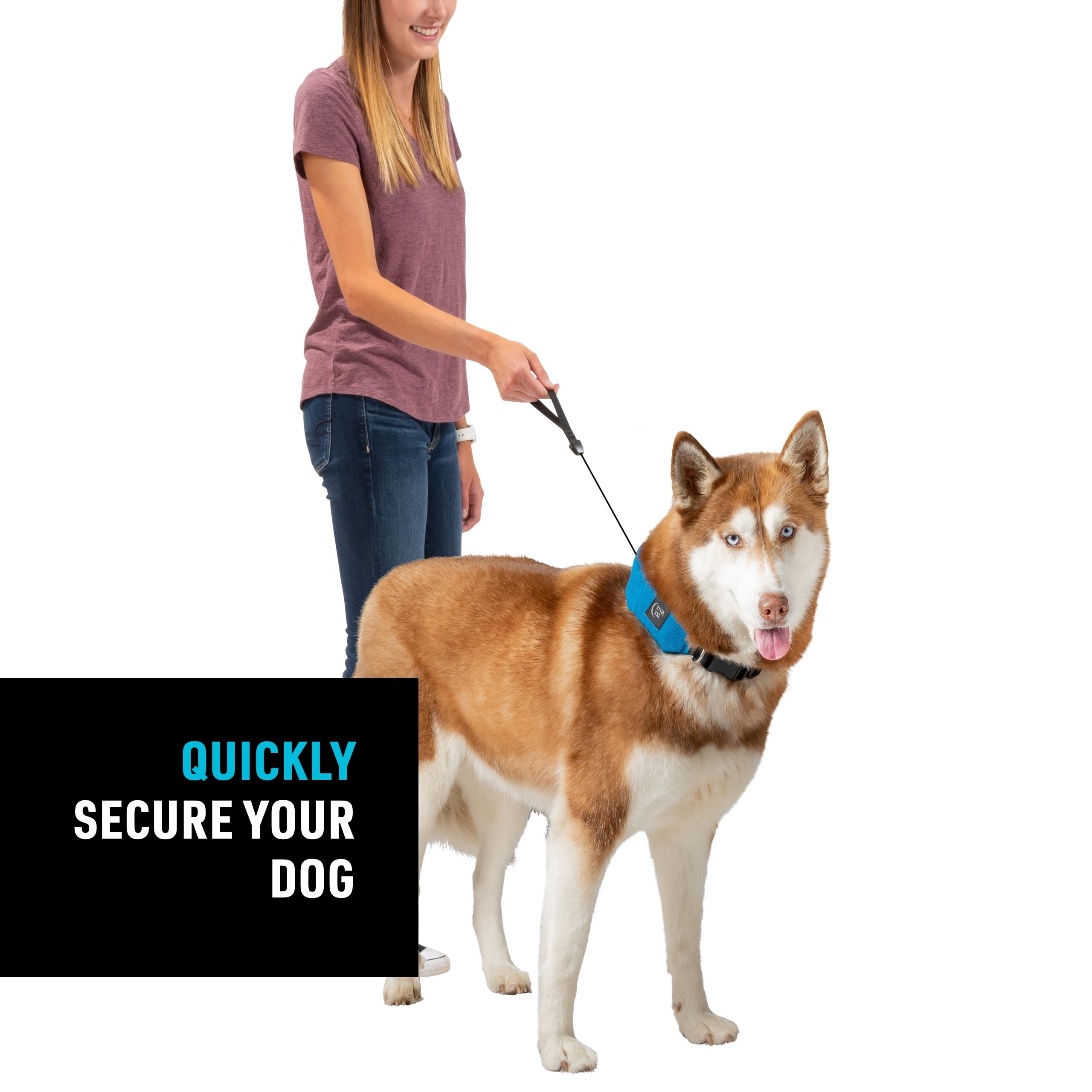 Nite Ize Raddog All-In-One Collar And Leash Combo - Heavy-Duty Dog Collar With Built-In Retractable Leash - 16'' To 20'' Collar