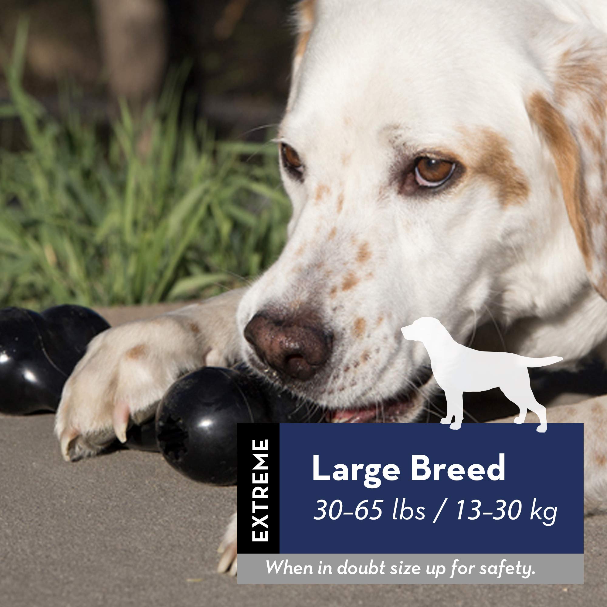 KONG - Extreme Flyer and Extreme Goodie Bone - Tough Dog Toys for Power Chewers - for Large Dogs