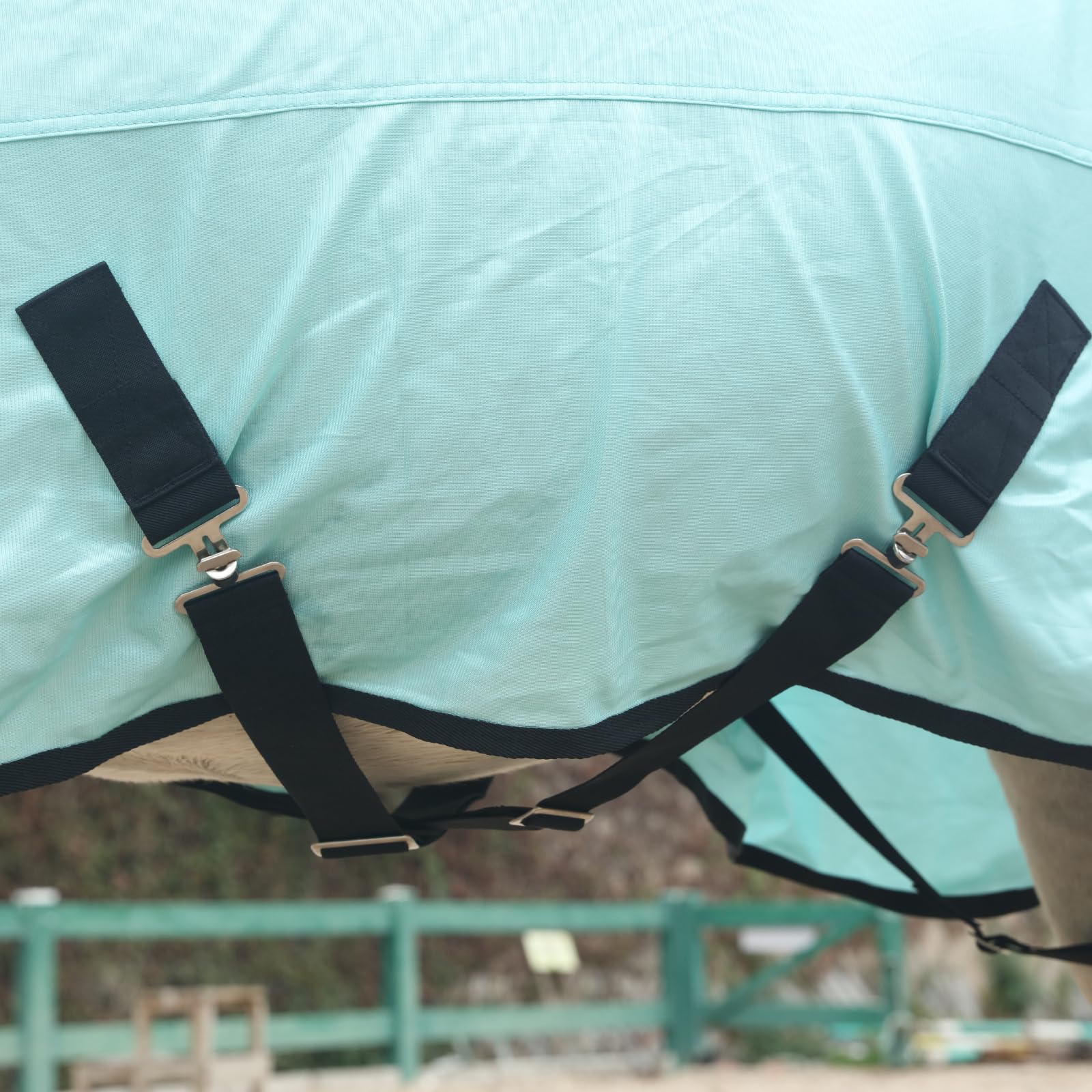 Gallopoff Horse Fly Sheet, Standard Neck Comfy Mesh Fly Sheet For Horses, Equine Summer Sheets Uv-Protective Green 63