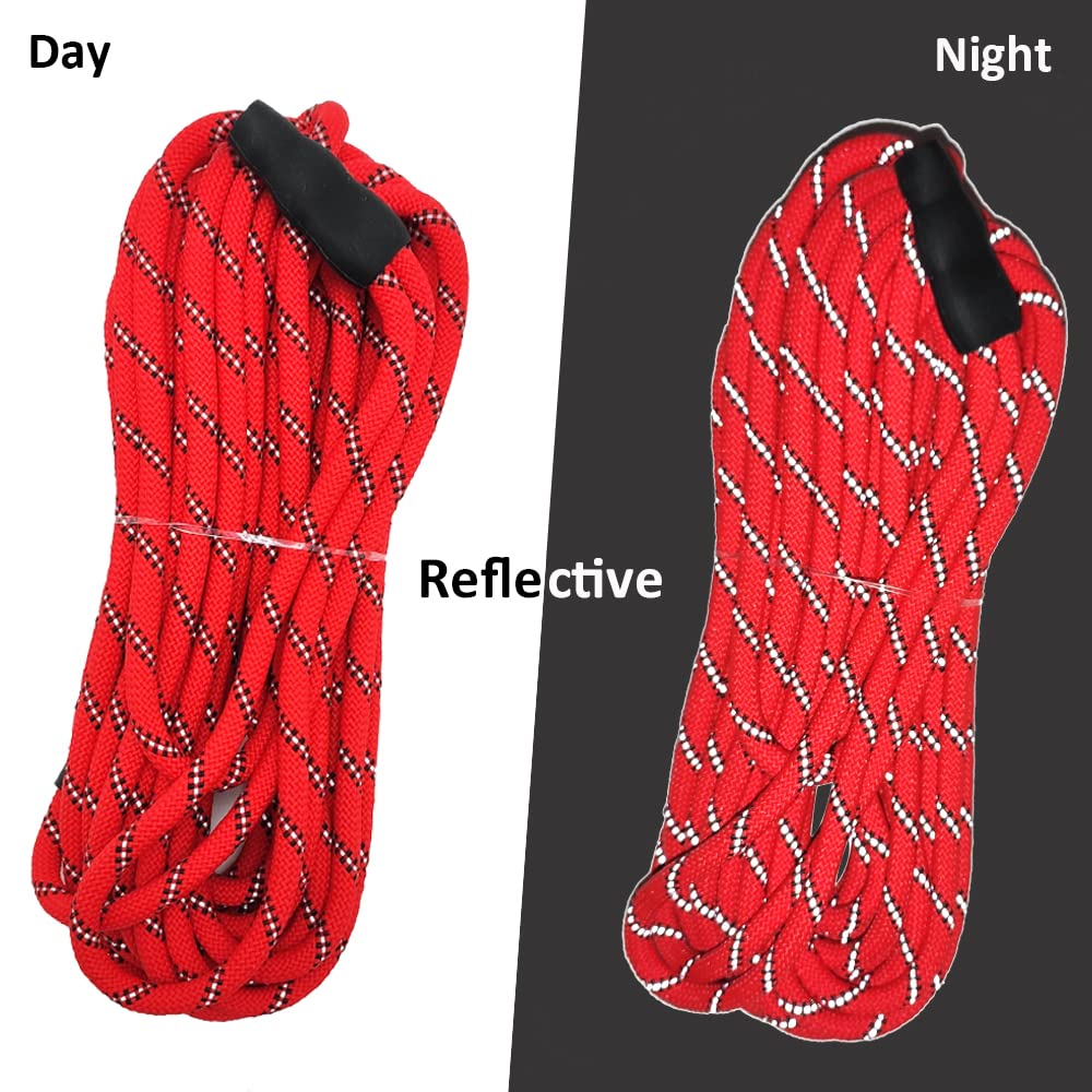 Sepxufore Reflective Long Slip Lead Dog Leash Anti-Choking 12 Ft/20 Ft/30 Ft/50 Ft Rope Training Leash For Medium Dogs Small Puppy Pets (12Ft, Red)
