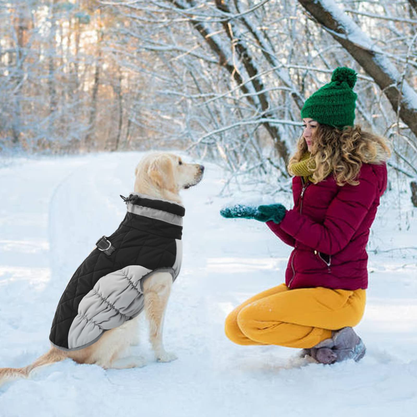 Ouobob Dog Winter Jacket Cozy Reflective Waterproof Windproof Warm Pet Garment,Comfortable Cold Weather Fleece Apparel Outfits With Zipper Closure For Small Medium Large Dogs Puppy Walking,X-Small