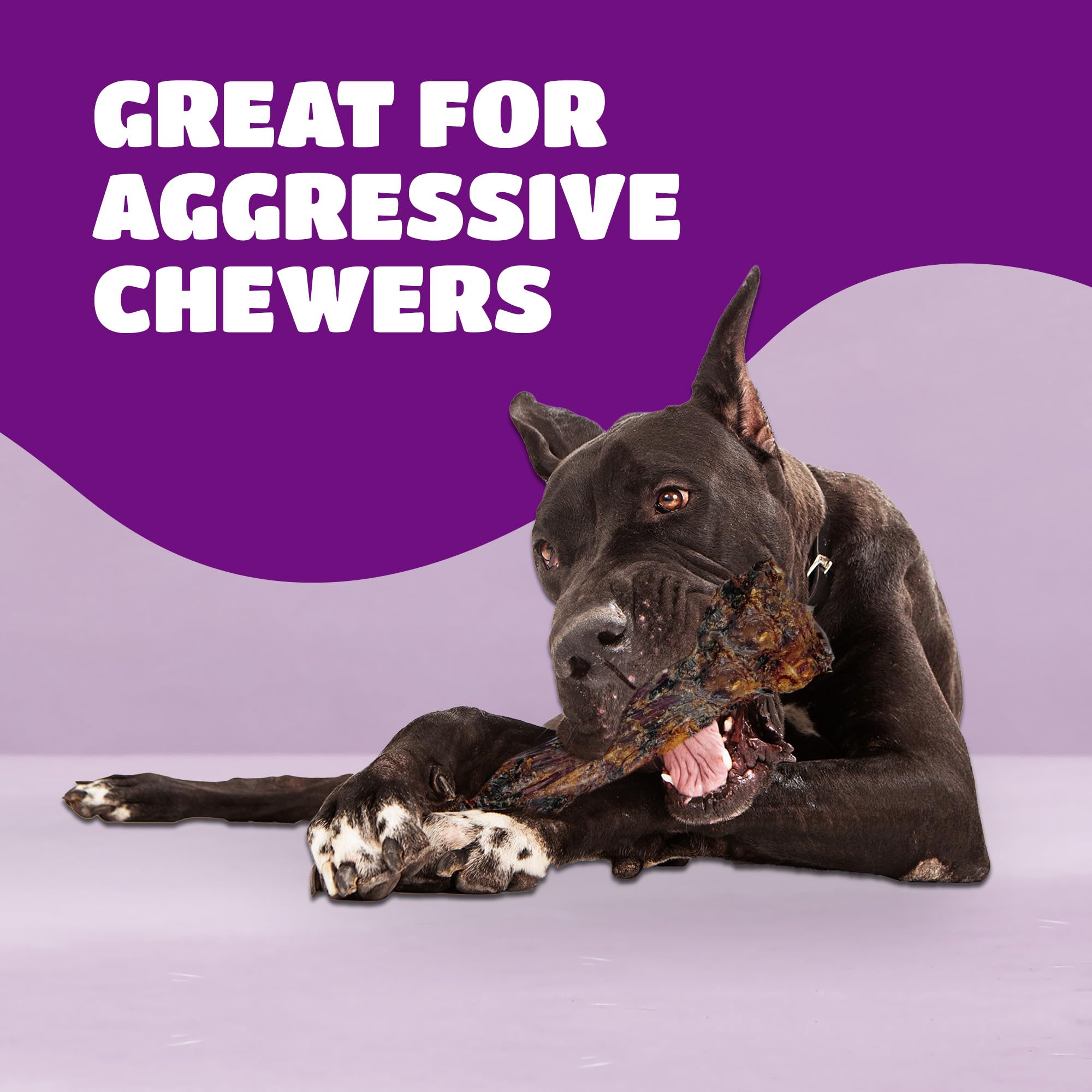 Large Dog Bones Long Lasting, Liver Coated Dog Bones for Aggressive Chewers, Natural Treats for Large Dogs, Healthy Beef Shin Ch