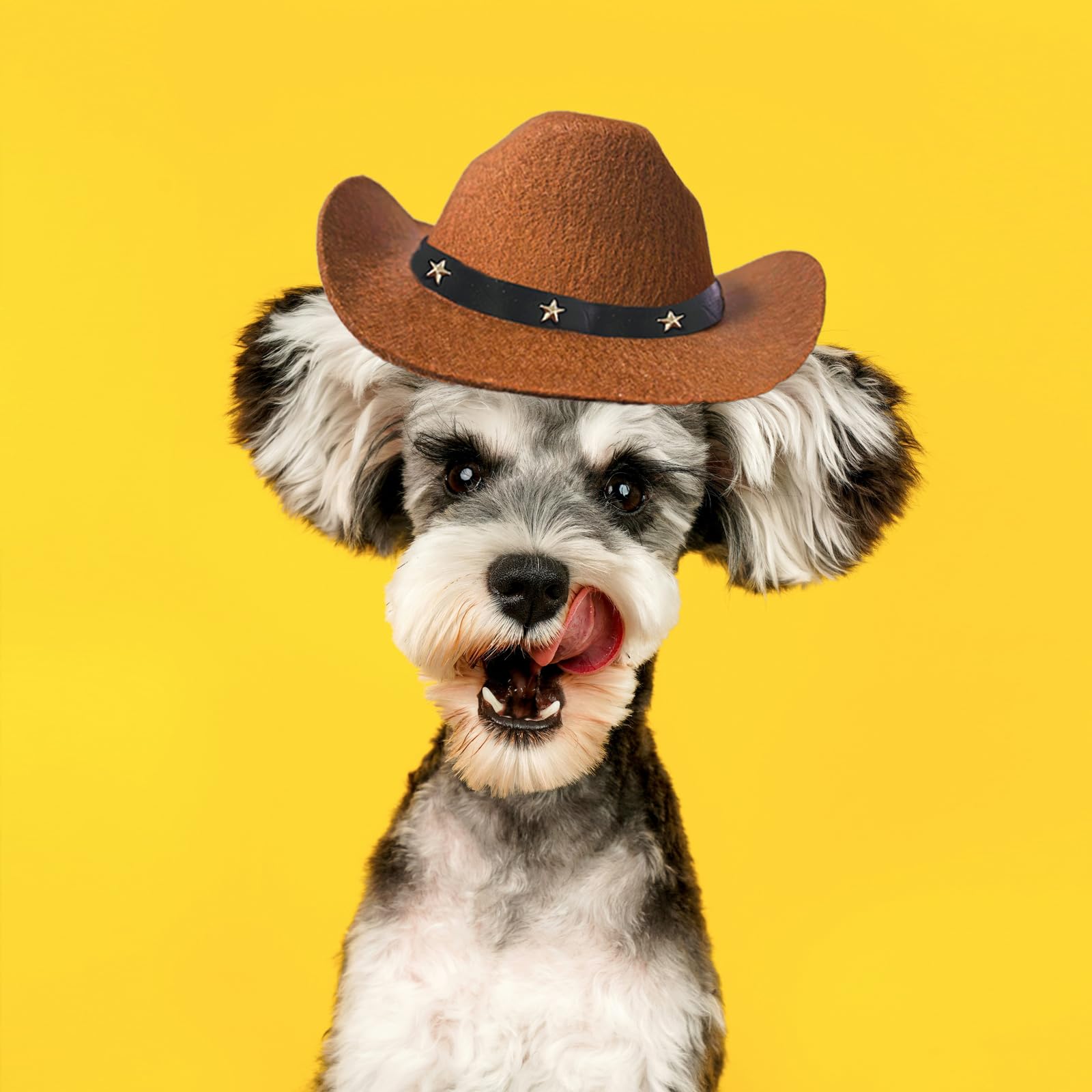 Awocan Dog Cowboy Hat And Bandana Scarf Dog Cat Sombrero Puppy Hat Dog Cat Costume Cosplay Cap Puppy Pet Dog Cat Holiday Pet Party Decoration (Coffee)