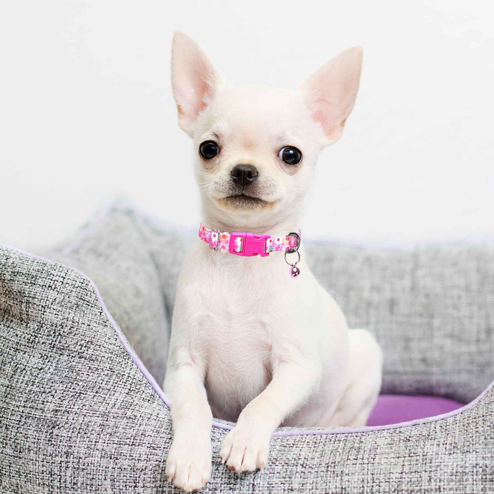 Pink Flower Puppy Collar With Bell, Pretty Cute Floral Girl Dog Collar Tiny Kitten Collars With Bells For Xs Small Pet Female Do