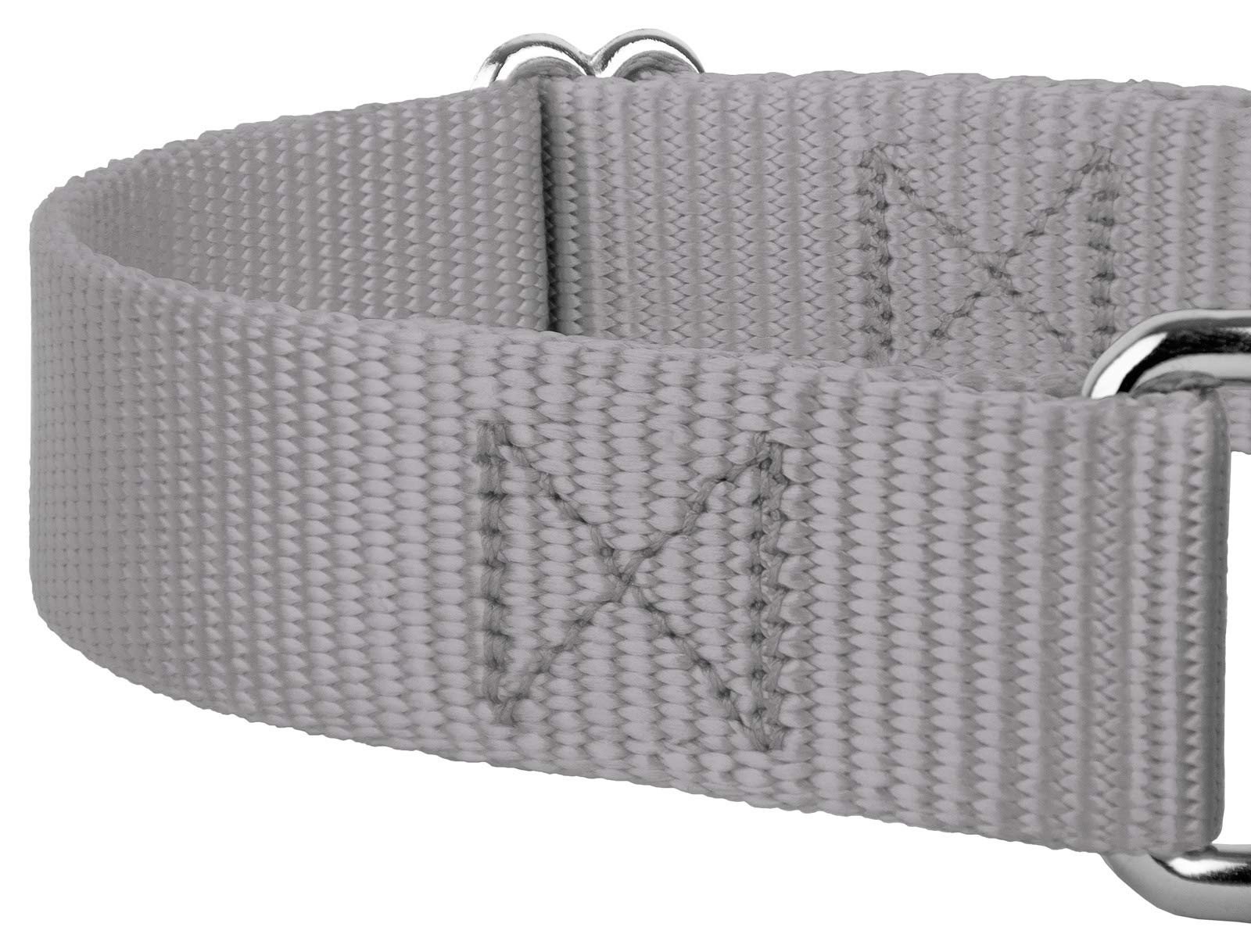 Country Brook Design - Silver Martingale Heavy Duty Nylon Dog Collar - 21 Vibrant Color Options (3/4 Inch Width, Small)