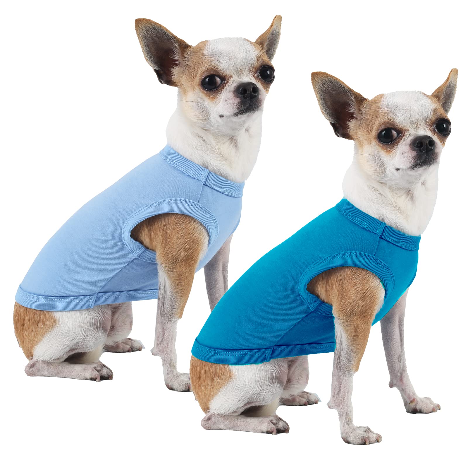 Sychien Dog Blank Blue Shirt,Boy Girl Dogs Large Tee Shirts,Plain French Bulldog T-Shirt,L Blue Royal