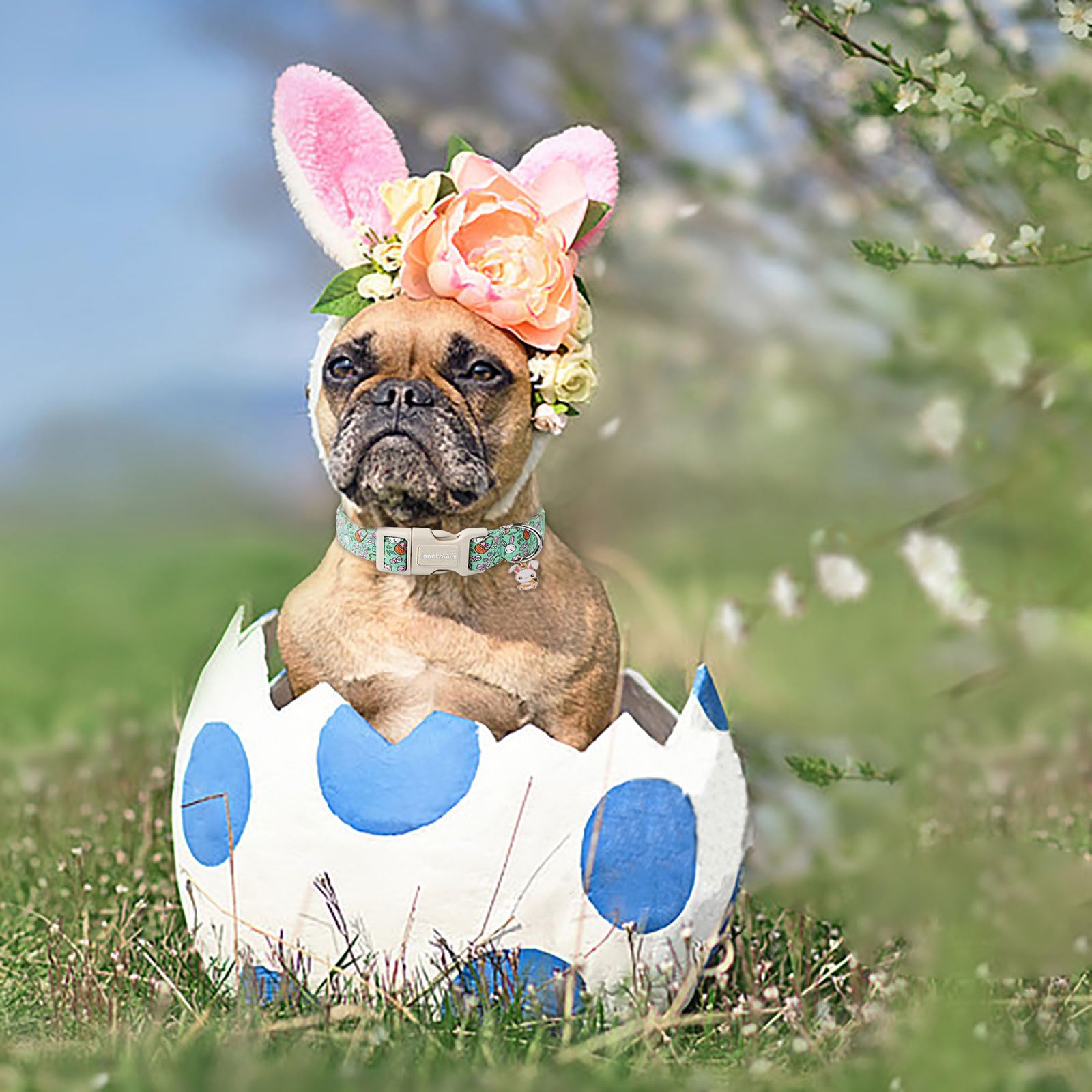 Lionet Paws Easter Dog Collar- Cute Green Eggs Dog Collars With Plastic Buckle, Light Adjustable Dog Medium Collars With Rabbit