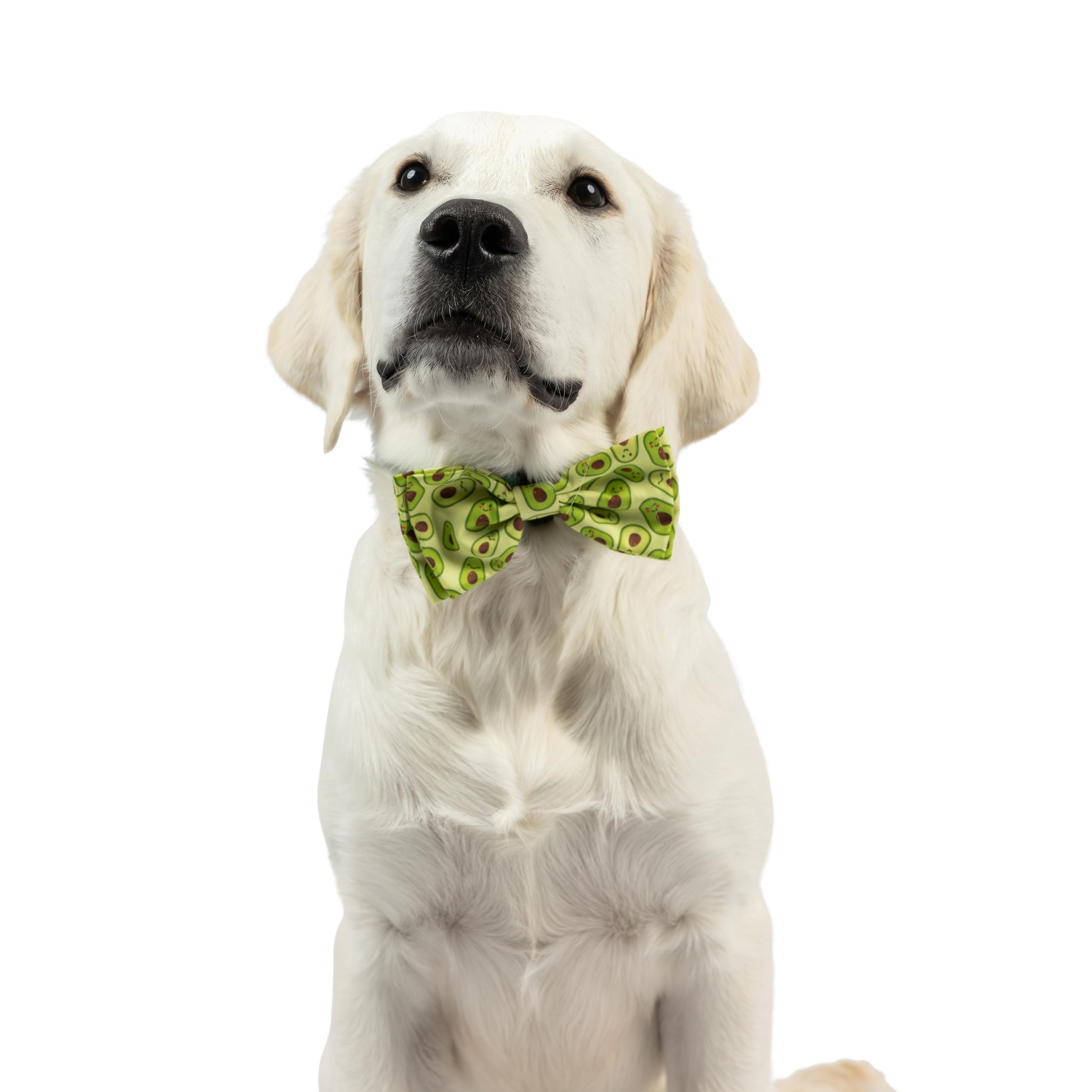 Huxley & Kent Bow Tie For Pets - Happy Avocados (Small) - Spring Bow Tie Collar Attachment - Fun Collar Accessory For Dogs & Cat