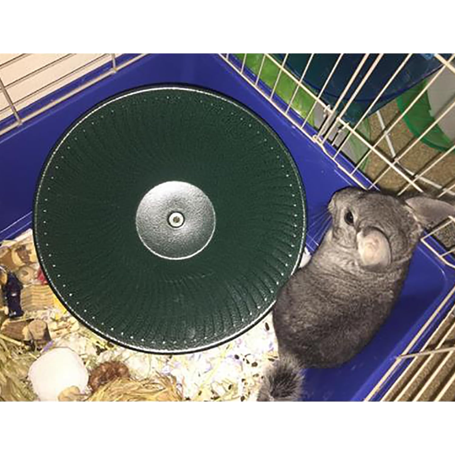 Exotic Nutrition 14 Black All Metal Treadmill Wheel for Small Pets - Silent, Smooth, Durable Exercise Wheel for Chinchillas, Hamsters & More