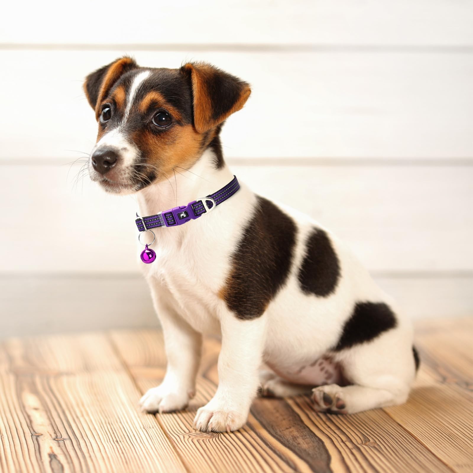 Puppy Collar With Bell - Reflective Adjustable Nylon Dog Collar For Small Dogs, Night Safety Collar For Chihuahua, Pomeranian -P