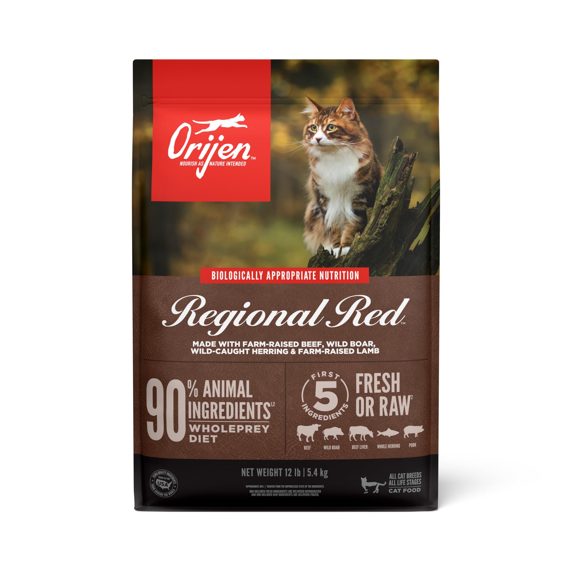 ORIJEN Grain Free High Protein Premium Dry Cat Food Regional Red Recipe 12lb Bag