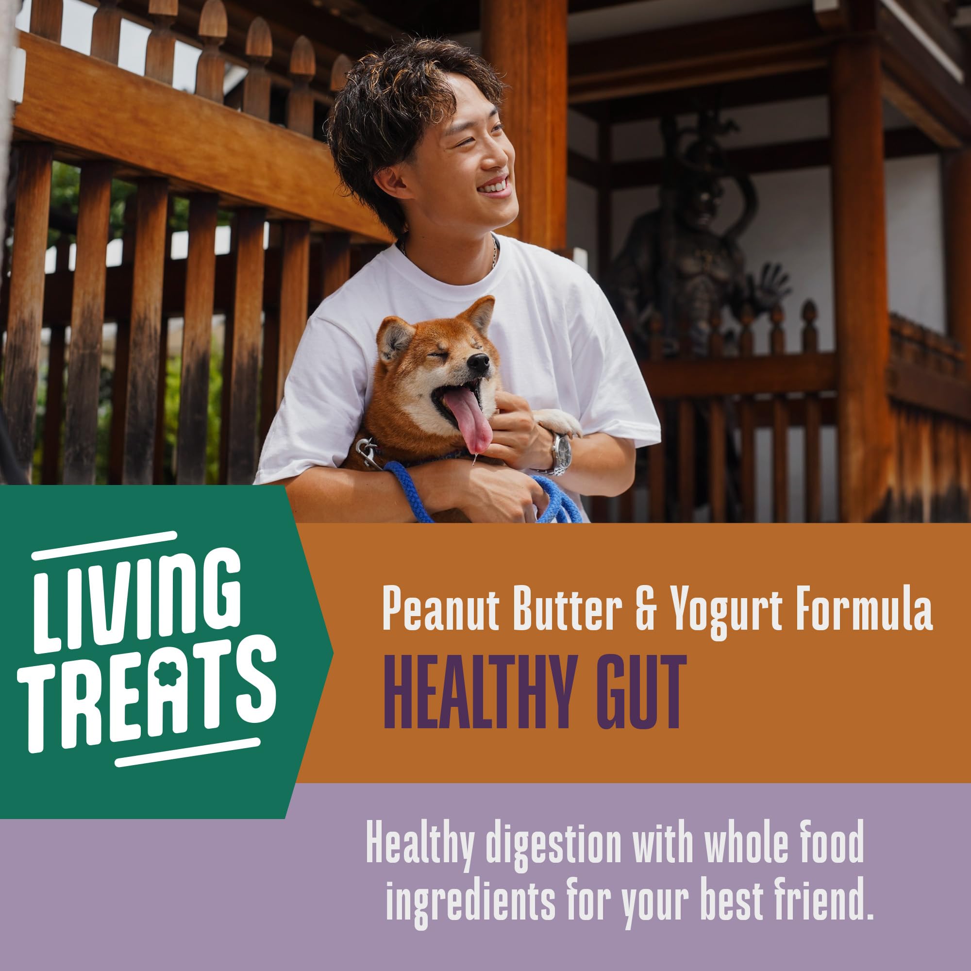Whole Life Dog Living Treats for Dogs - Human Grade Probiotics for Digestive & Gut Health, Gas, Diarrhea, Vomit & Constipation R