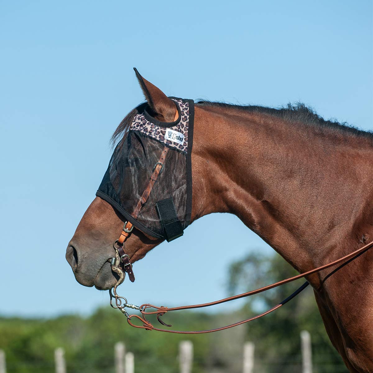 Cashel Quiet Ride Designer Fly Mask, Leopard, Yearling