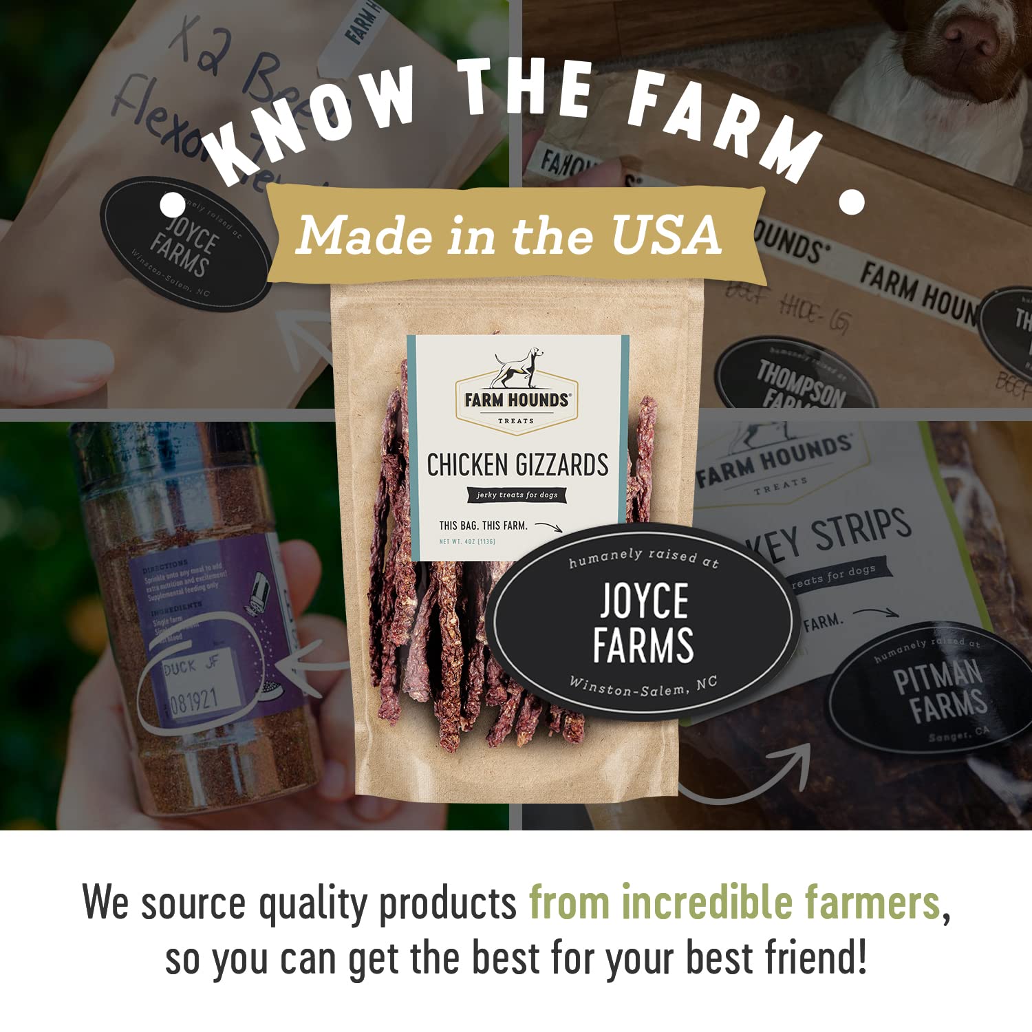 Farm Hounds - Chicken Gizzards - Premium Natural Jerky for Dogs -100% Humanely Raised Chicken - Break-to-Size - Great for Traini