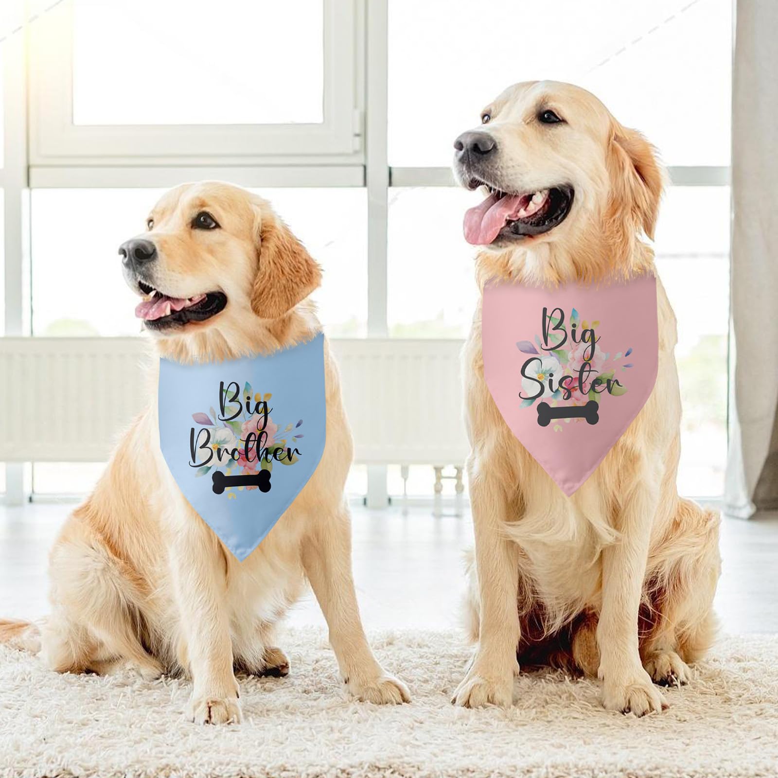 2 Packs Gender Reveal Gifts Big Sister Big Brother Bone Bandana Pregnancy Announcement Photo Props Scarf Accessories Cool Ideas