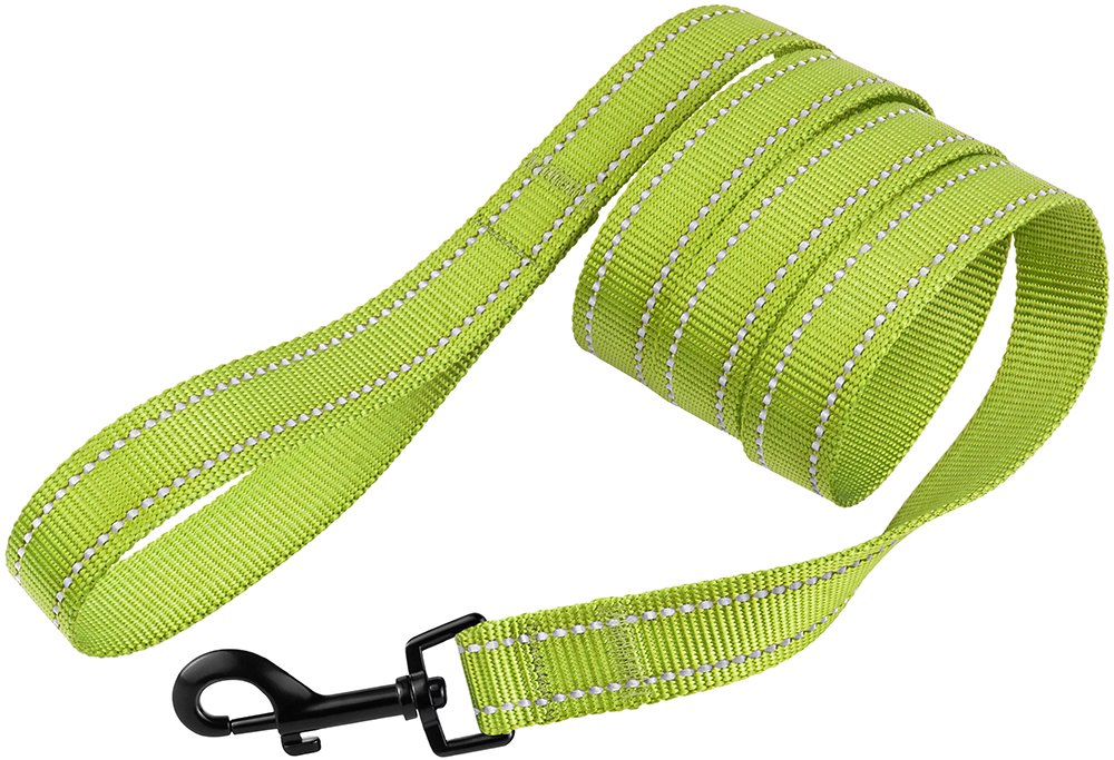 Collardirect Nylon Dog Leash 5Ft For Daily Outdoor Walking Running Training Heavy Duty Reflective Pet Leashes For Large, Medium & Small Dogs (M, Lime Green)
