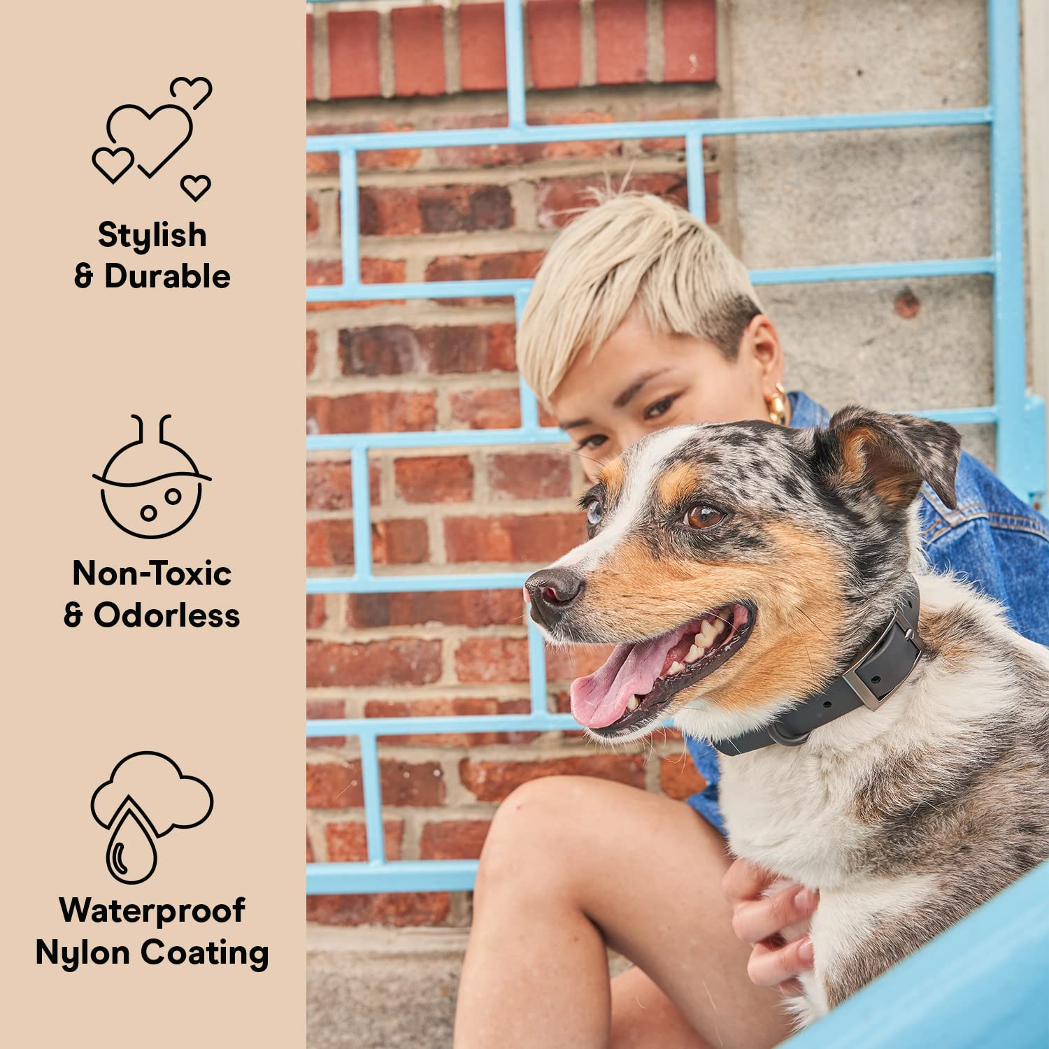 Wild One Dog Collar, Easy-Clean, All Weather Flex-Poly Strap With Metal, Durable, Dirt And Odor Resistant (Black, S)