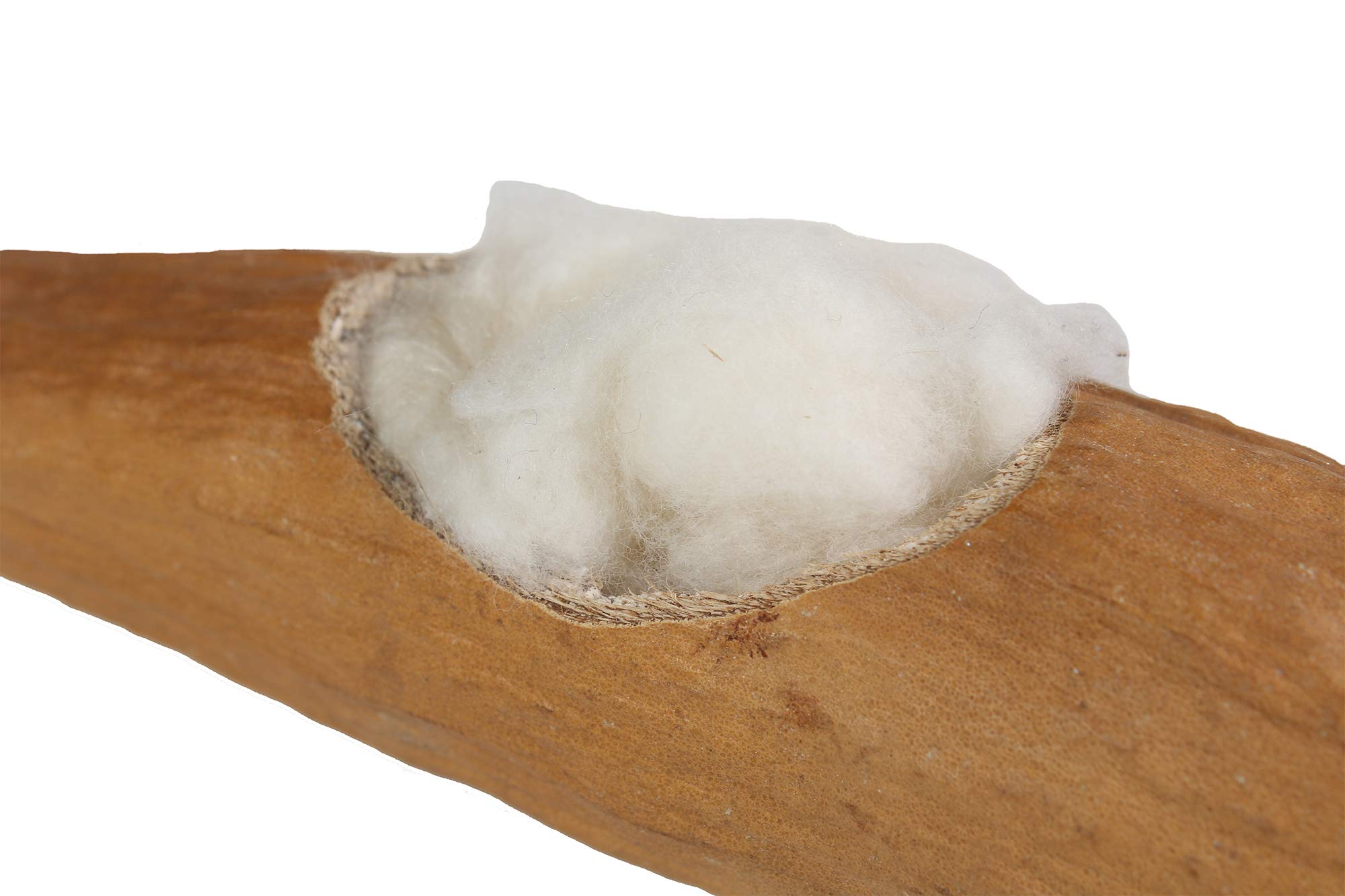 Penn-Plax Kapok Pod For Birds And Small Animals – Meets And Satisfies The Various Chewing And Nesting Needs Of Tiny Critters