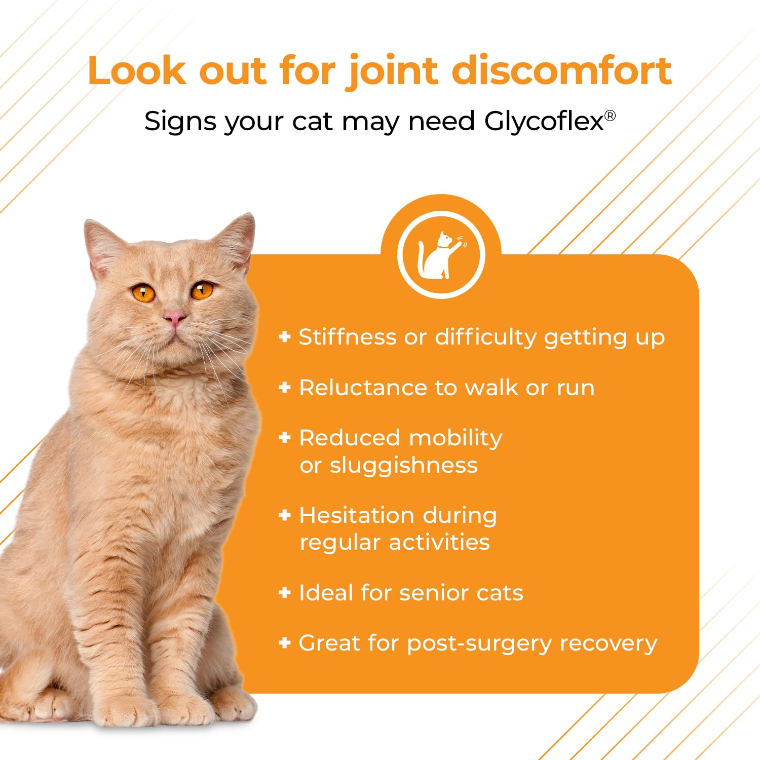VetriScience GlycoFlex 3, Clinically Proven Joint Support Cat Supplements - Hip and Joint Health Supplement with Glucosamine, MS