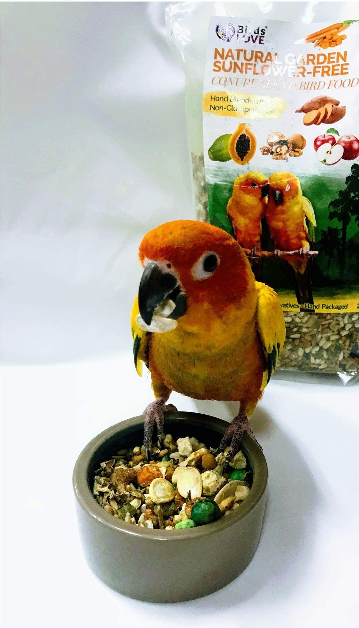 Birds LOVE All Natural Garden Blend Bird Food for Conures - Sunflower Free 4lb