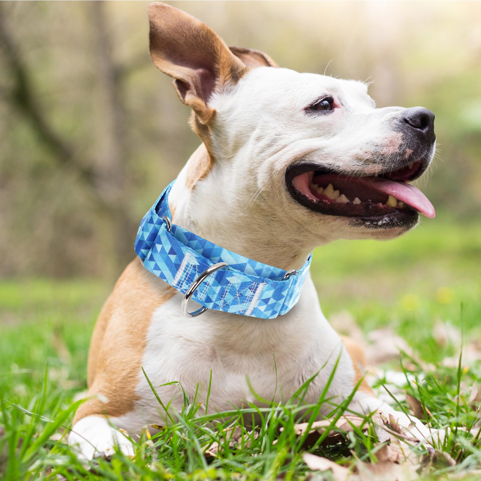 1.5 Inch Martingale Collar For Dogs, Wide,Big&Thick Dog Collar,No-Slip Escape Proof Choke No Pull Cinch Collar For Medium Large