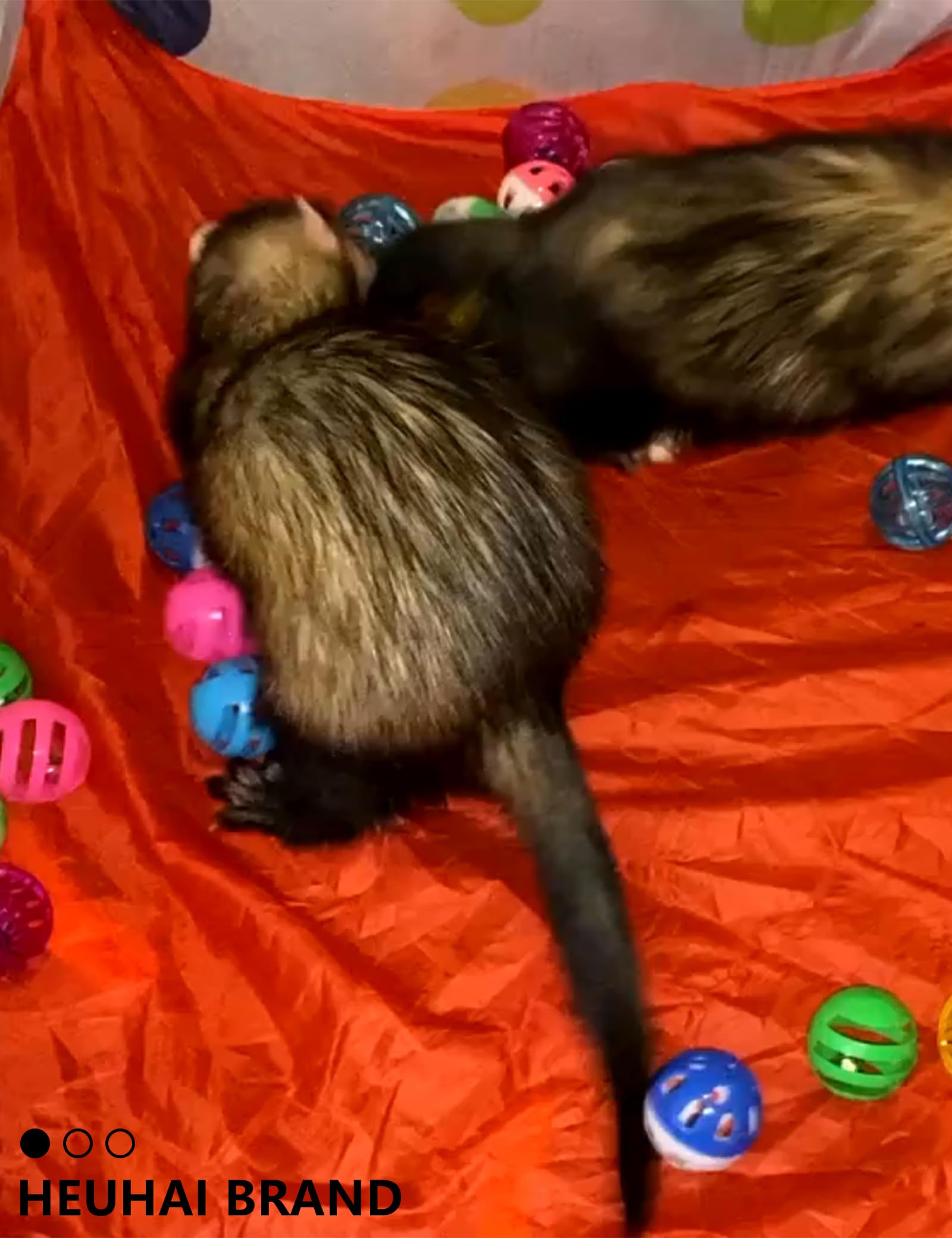 10-Pack Resilient Ferret Toys, Colorful Teething Balls, Bells, Interactive Stimulation, Easy-Clean For Oral Health (1.5'' - 2.7'