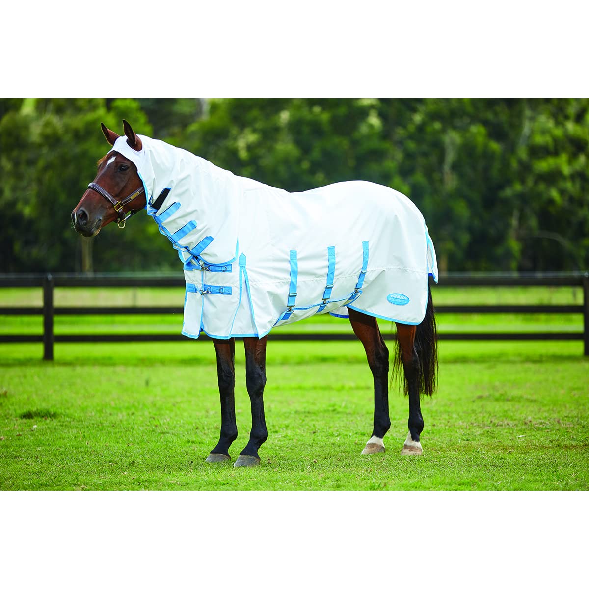 WeatherBeeta ComFiTec Sweet Itch Shield Combo Neck, White/Blue, 69