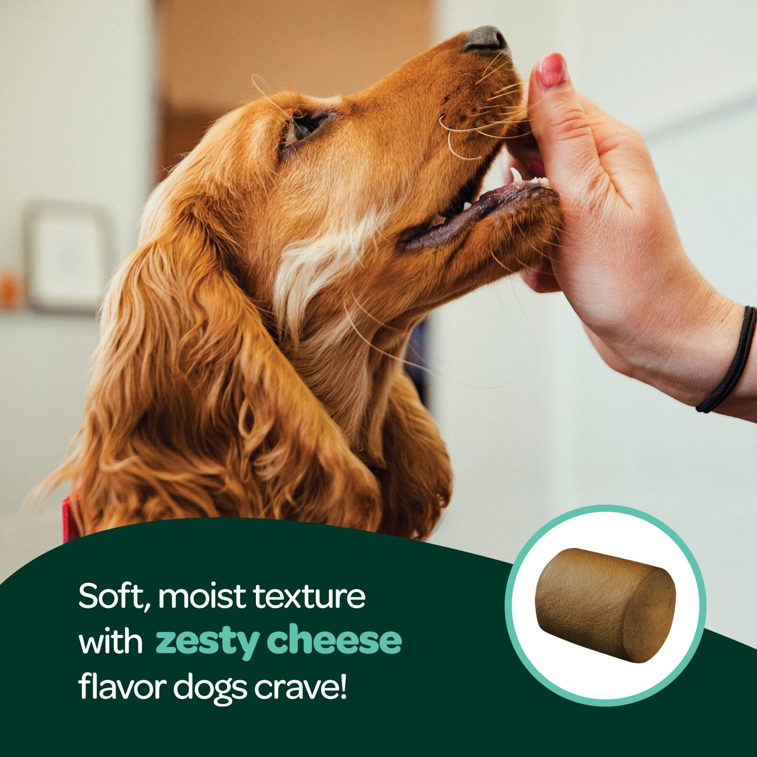 Dog Allergy Chews with Probiotics | Seasonal Allergy Chews for Dogs with Wild Alaskan Salmon Oil & Colostrum | Environmental Dog