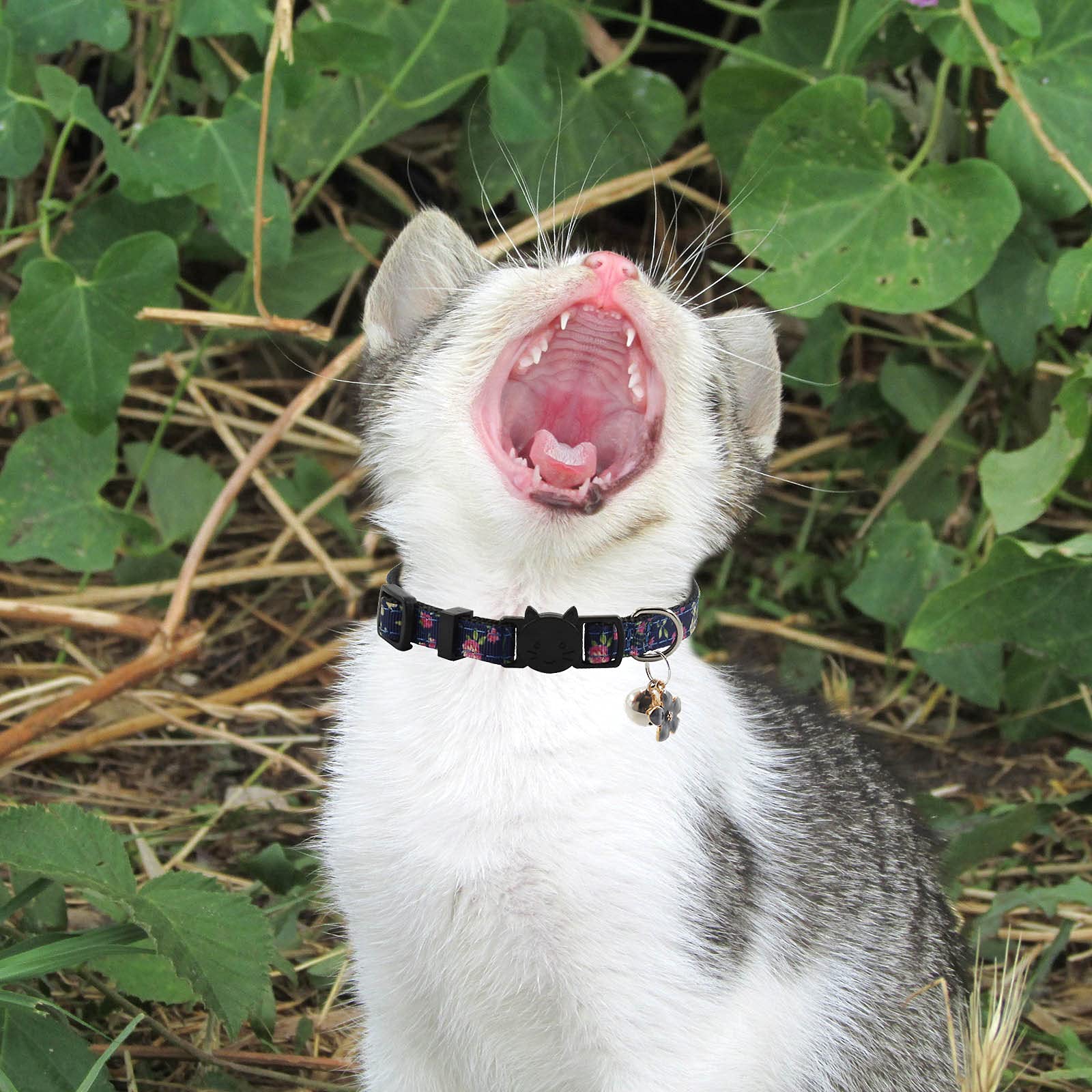 3 Pack Breakaway Cat Collars With Bell And Accessories, Flower Pattern Adjustable Cute Kitten Collars Floral For Kitty Puppy 7.5-11In …