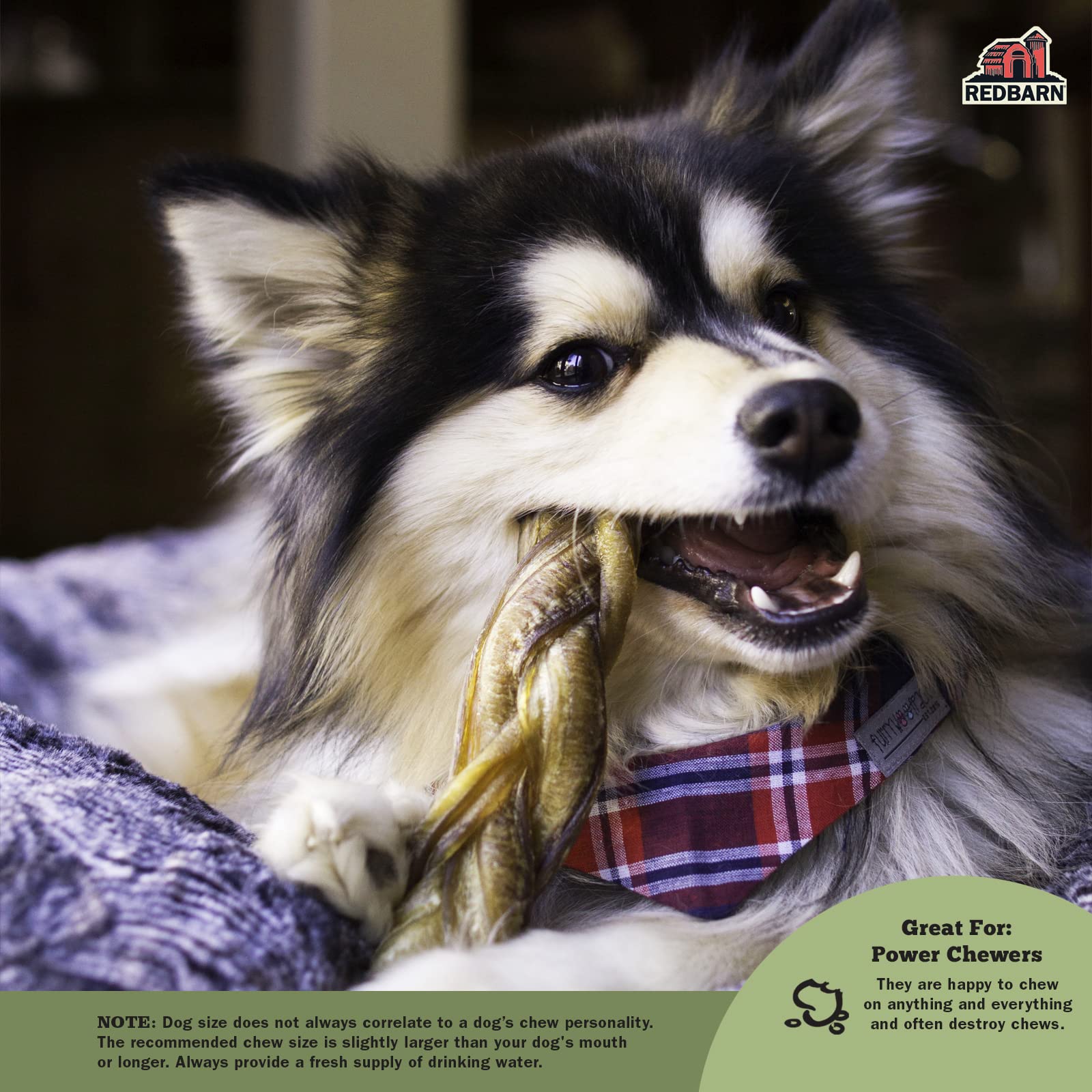 Redbarn Pet Products All-Natural 12 Braided Bully Sticks for Dogs - Premium Slow Roasted Long Lasting Chew Treats Made with 100%