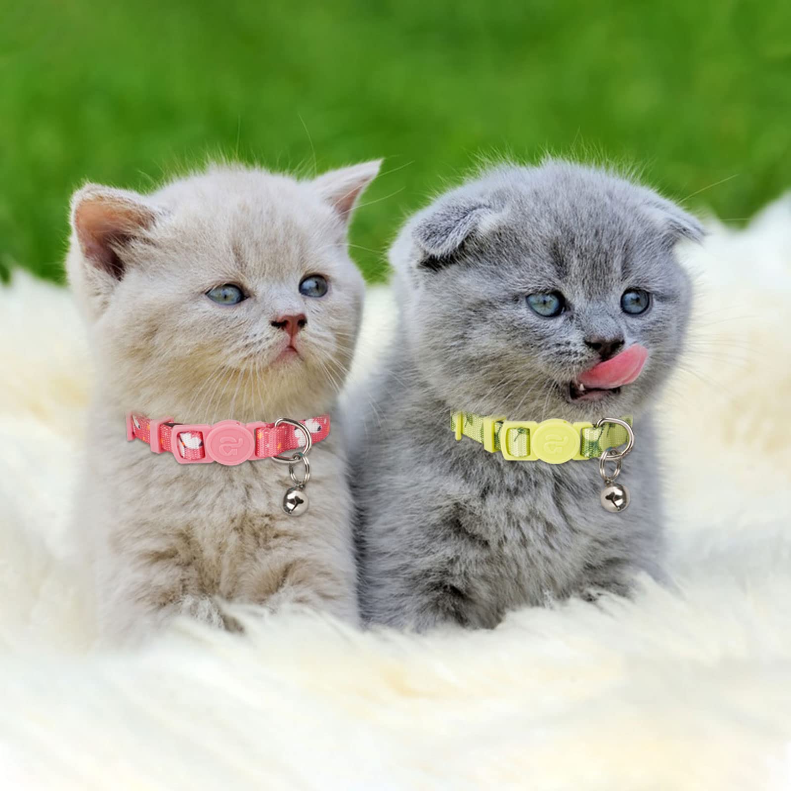 Azuza 4 Pack Kitten Collar Breakaway With Bell,Quick Release Safe Buckle Adjustable Baby Kitten Collars, Floral Print Rose/Ginkgo/Sunflower/Butterfly