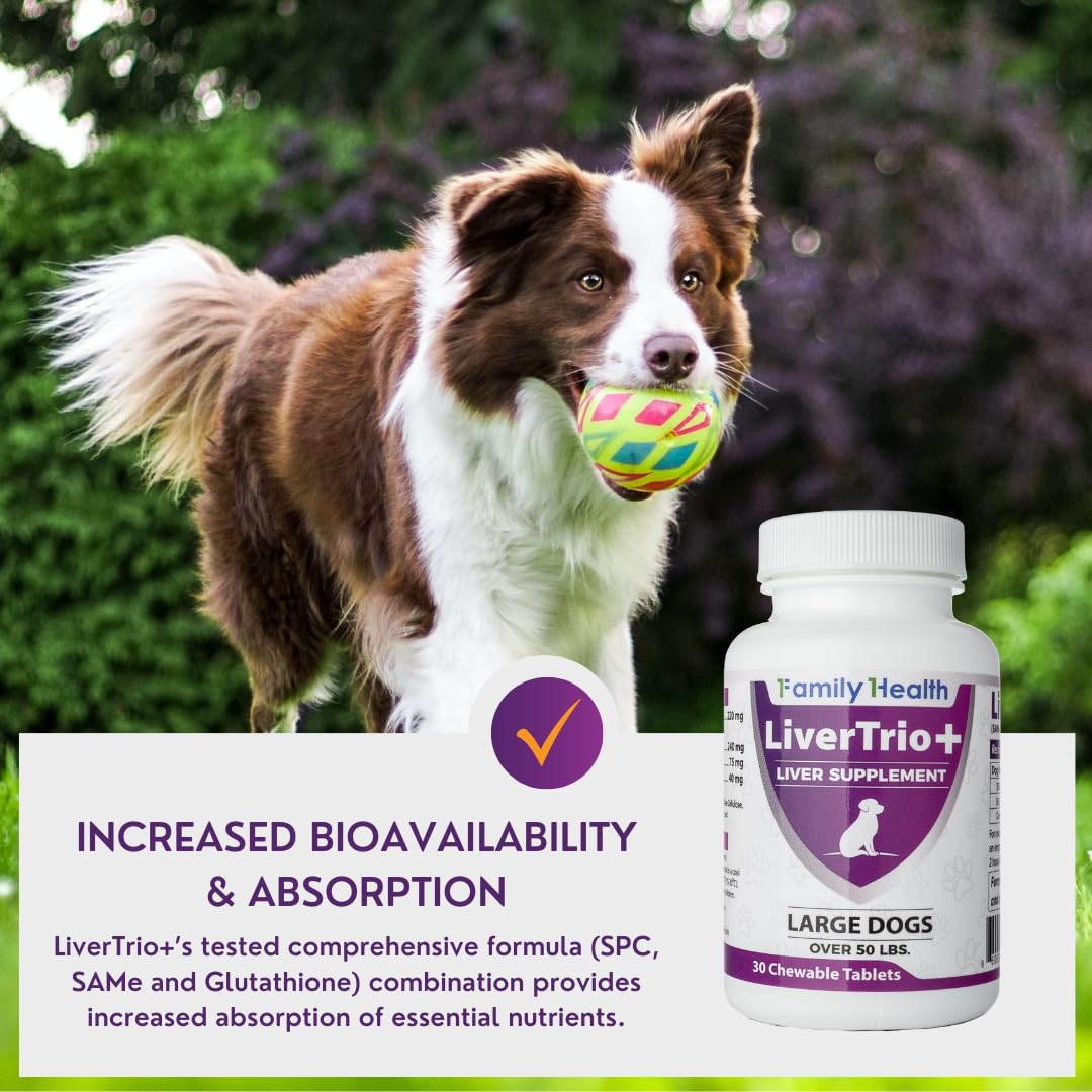 LiverTrio+ Liver Support Supplement for Large Dogs - Chewable Tablets with Silybin A+B & Glutathione, 30 Ct, Orange