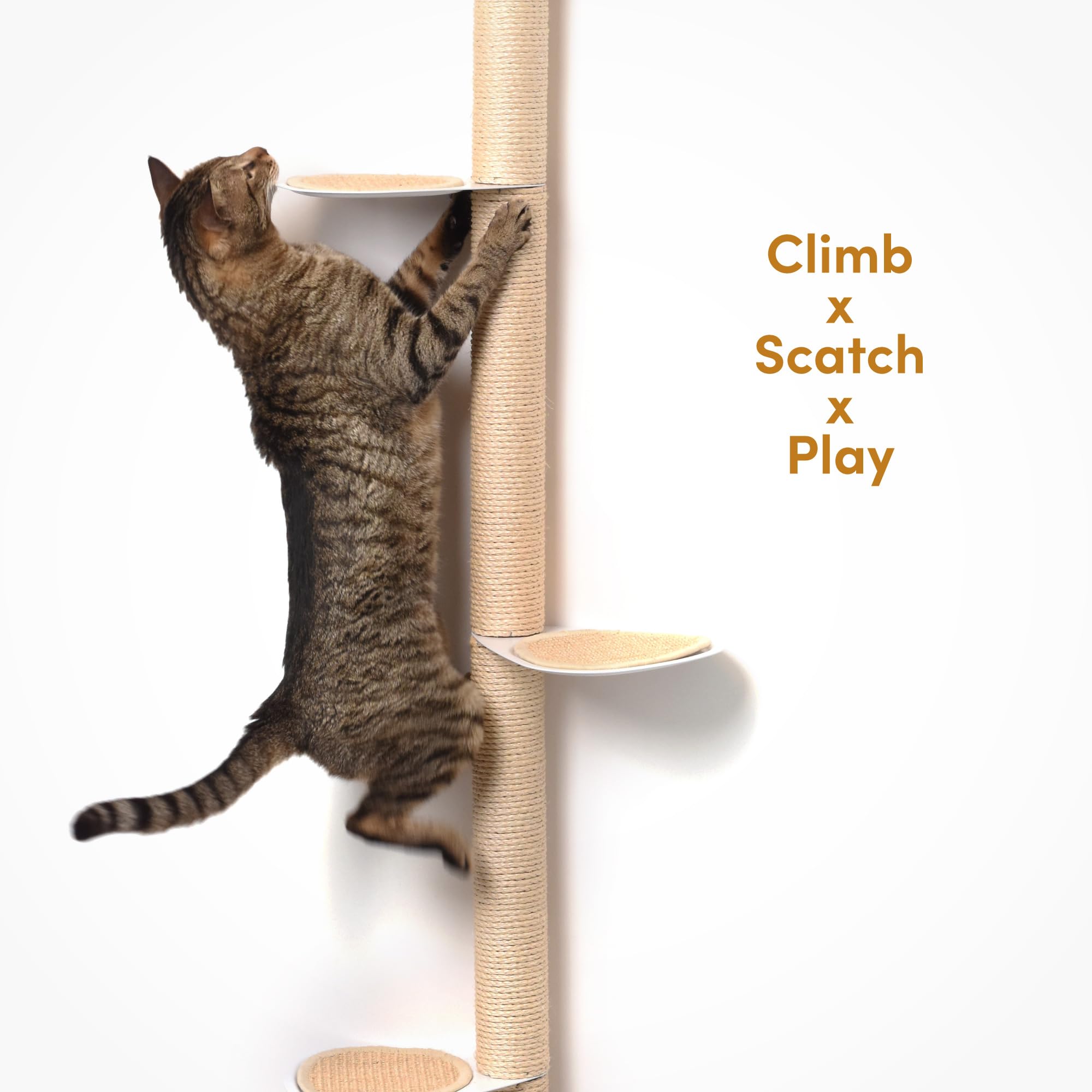 Xympo 68 Tall Wall-Mounted Cat Tree - Modern Space-Saving Cat Shelf With Sisal Scratching Post & Steel Climbing Steps - Stylis