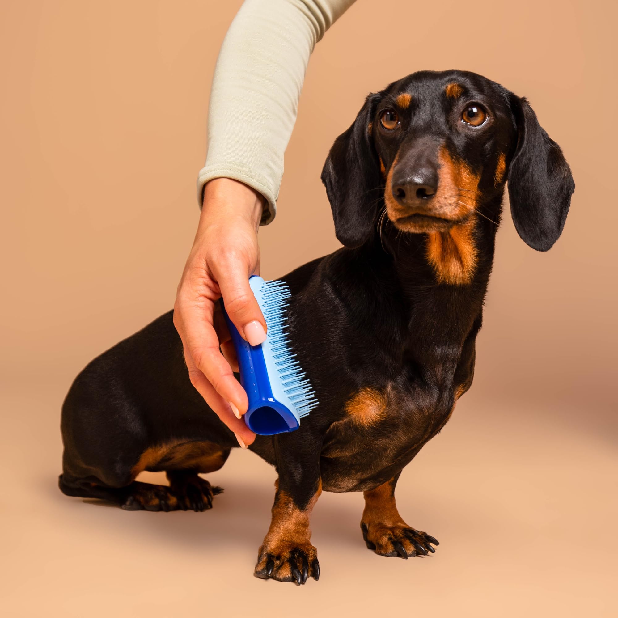 Tangle Teezer | Pet Teezer | Small De-Shedding And Dog Grooming Brush | Dry Brush Or Dog Bath Brush | Navy & Sky Blue